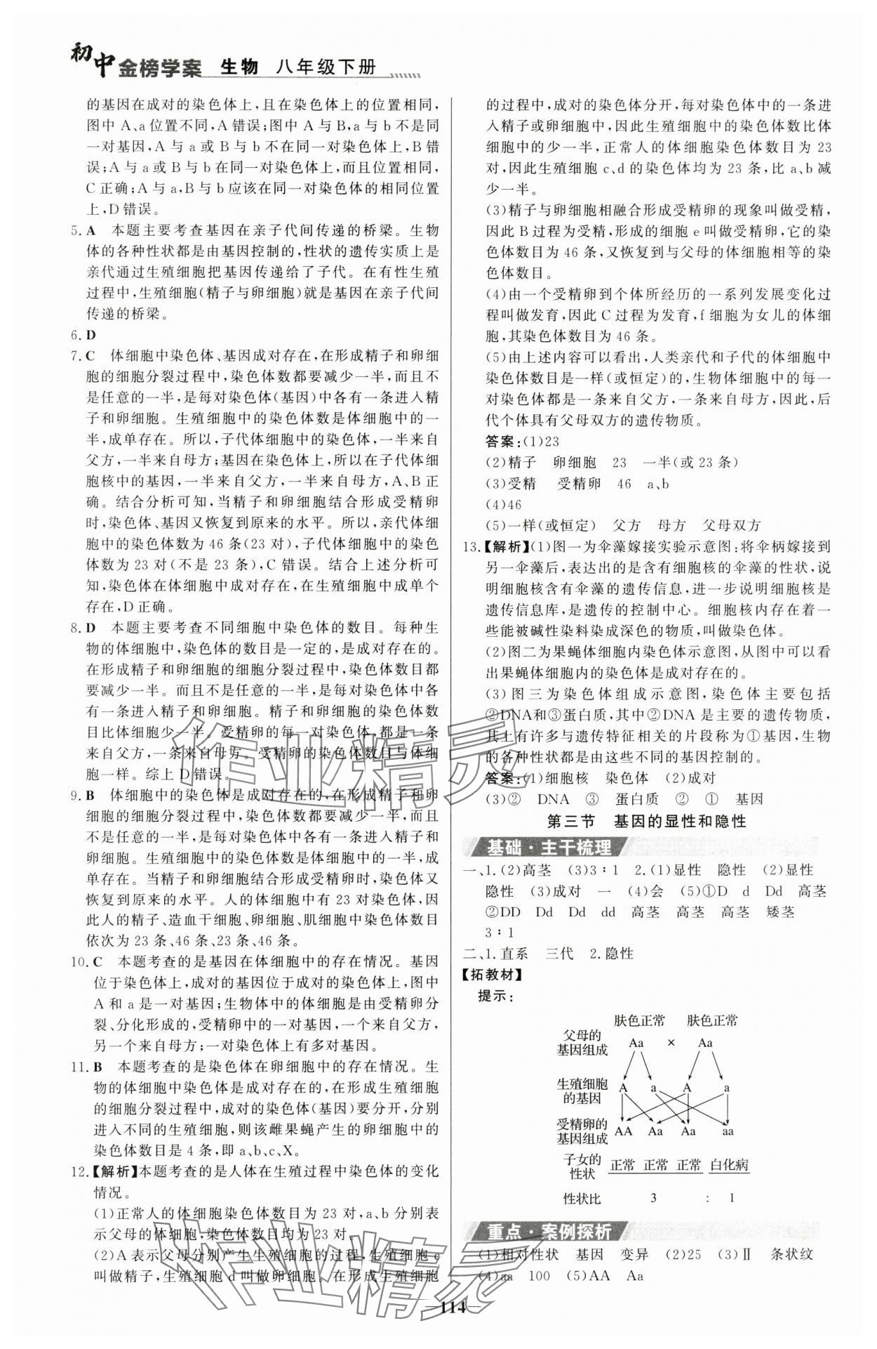 2024年世紀金榜金榜學案八年級生物下冊人教版河南專版 參考答案第5頁