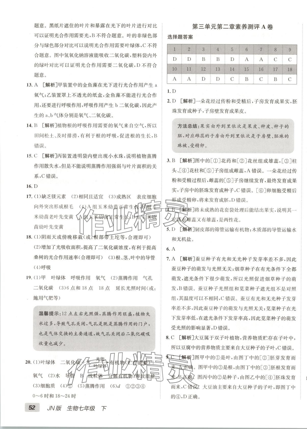 2025年海淀單元測試AB卷七年級生物下冊濟南版 第3頁