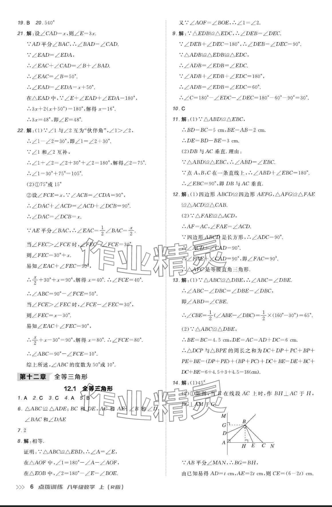 2024年点拨训练八年级数学上册人教版 参考答案第5页