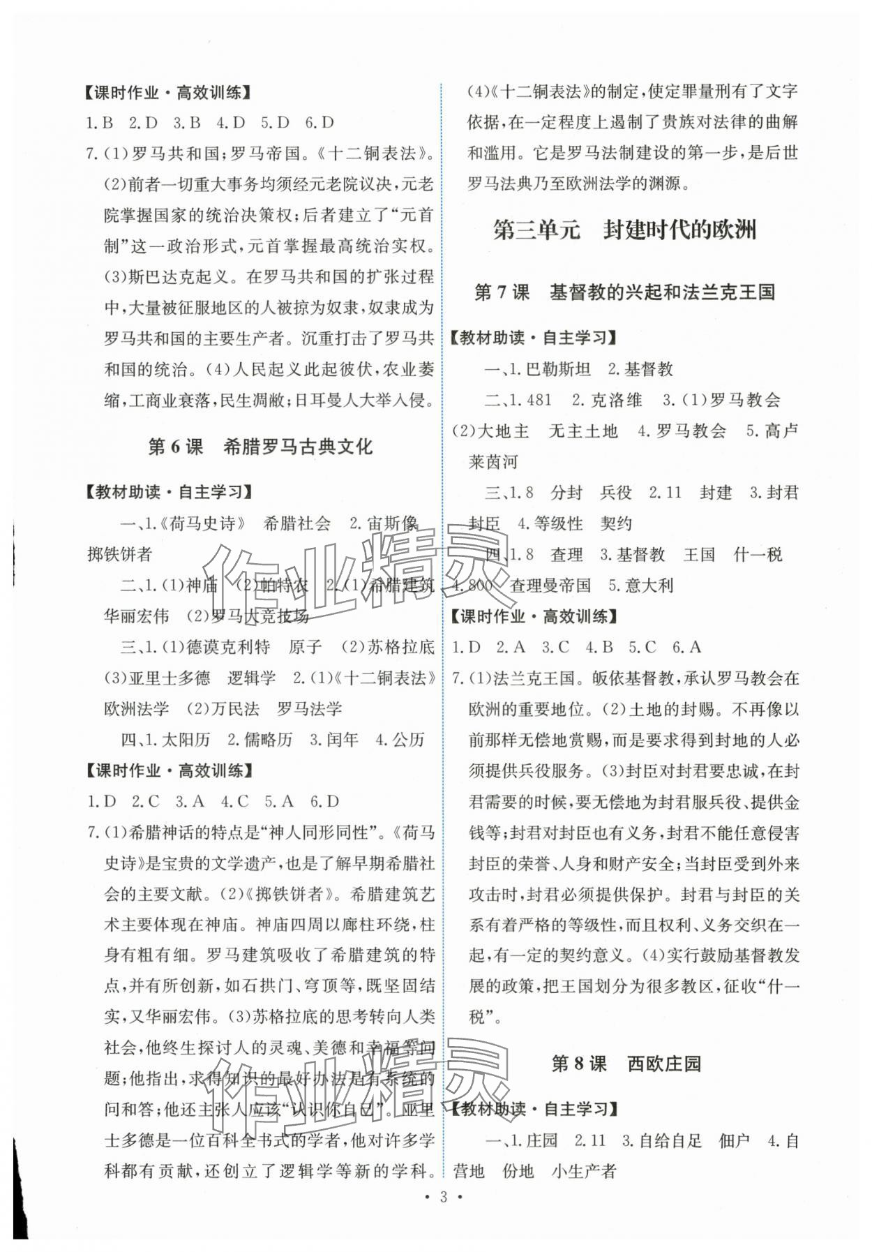 2025年能力培养与测试九年级世界历史上册人教版湖南专版 第3页