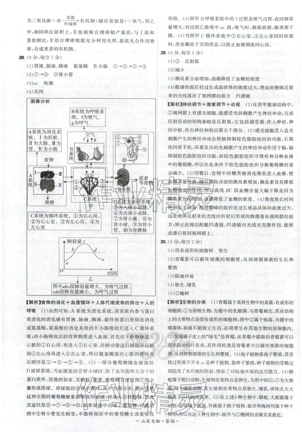 2026年天利38套中考试题精选八年级生物山东专版 第16页