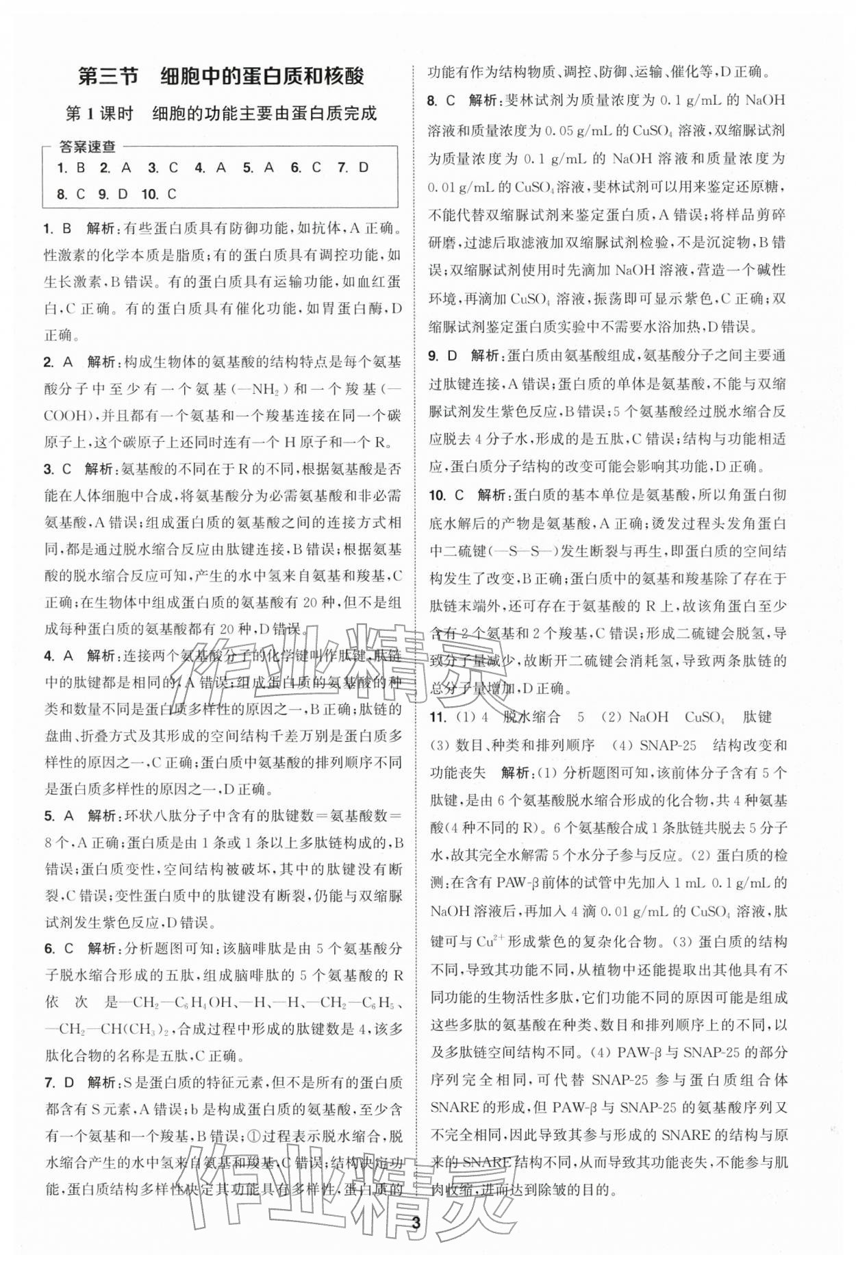 2025年通城学典课时作业本高中生物学必修1分子与细胞苏教版 第3页
