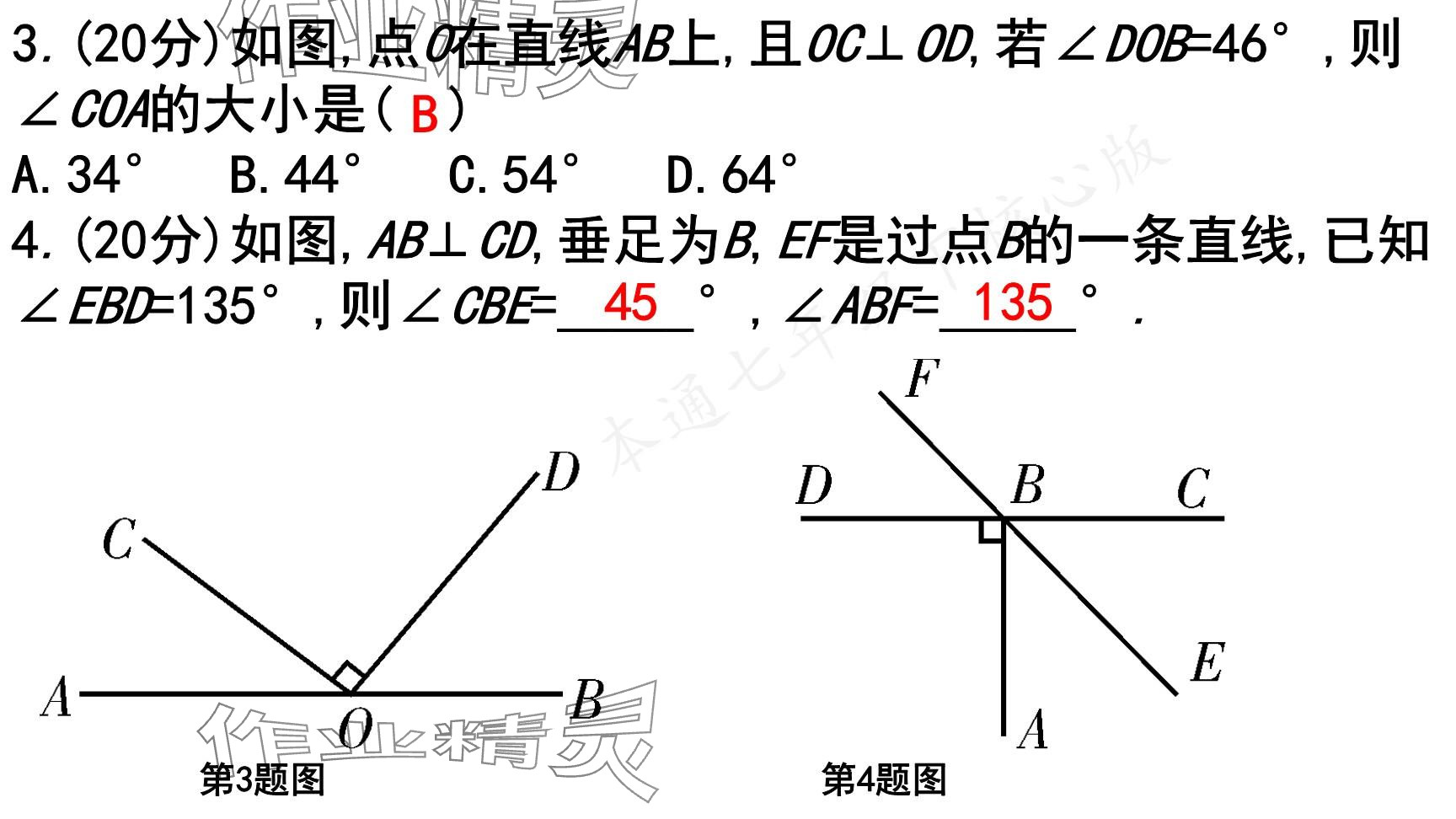 2025年一本通武漢出版社七年級數(shù)學(xué)下冊北師大版核心版 參考答案第51頁