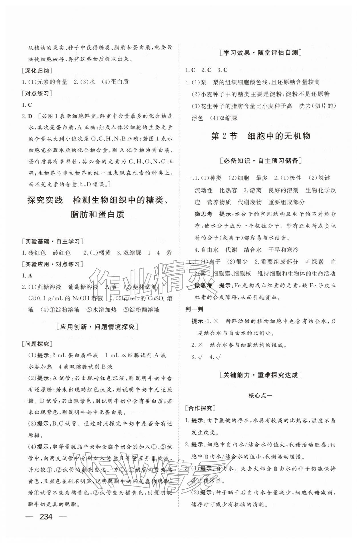 2025年同步练习册大象出版社高中生物必修第一册人教版A&nbsp;参考答案第4页