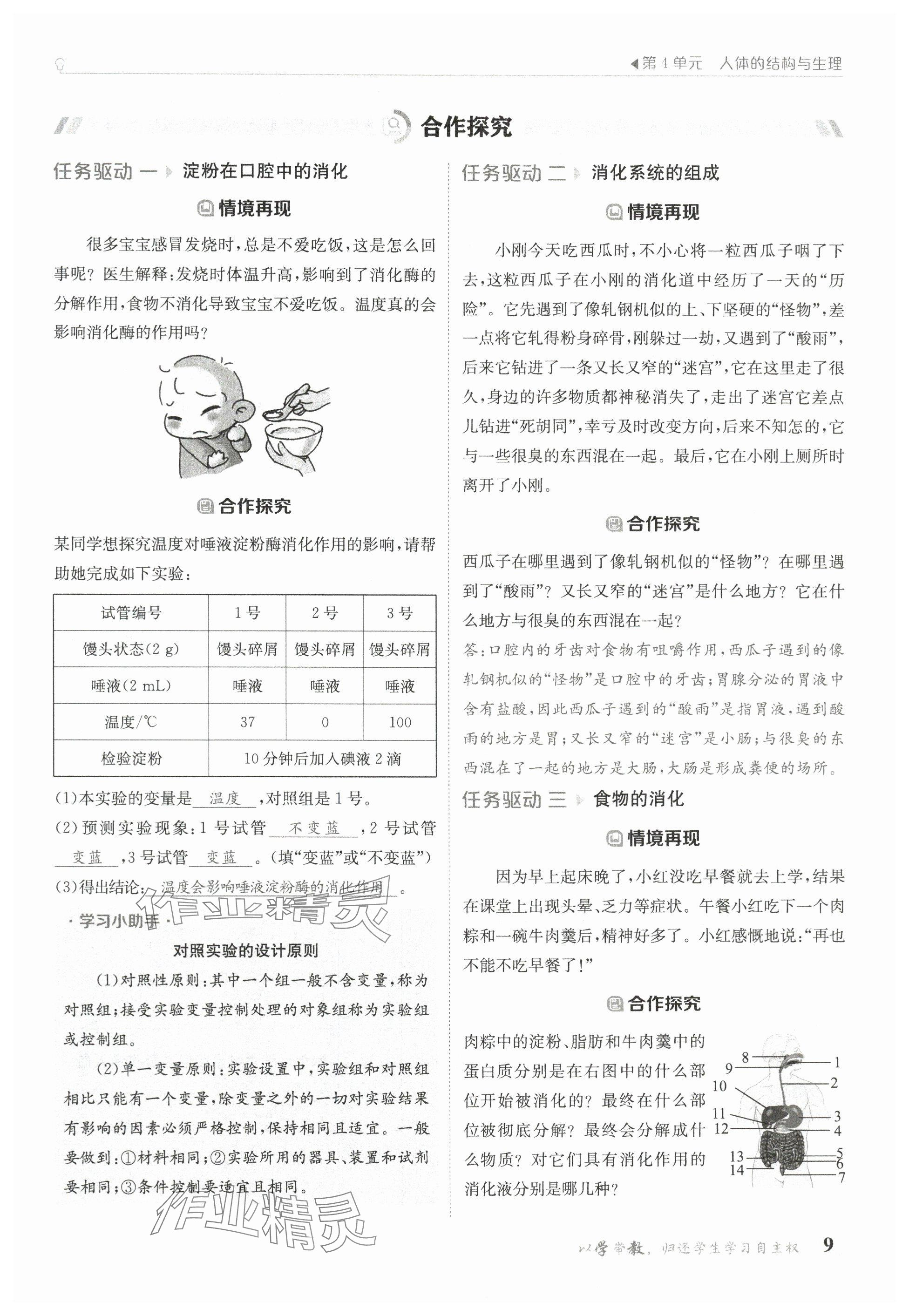 2025年金太陽導學案七年級生物下冊北師大版 參考答案第7頁
