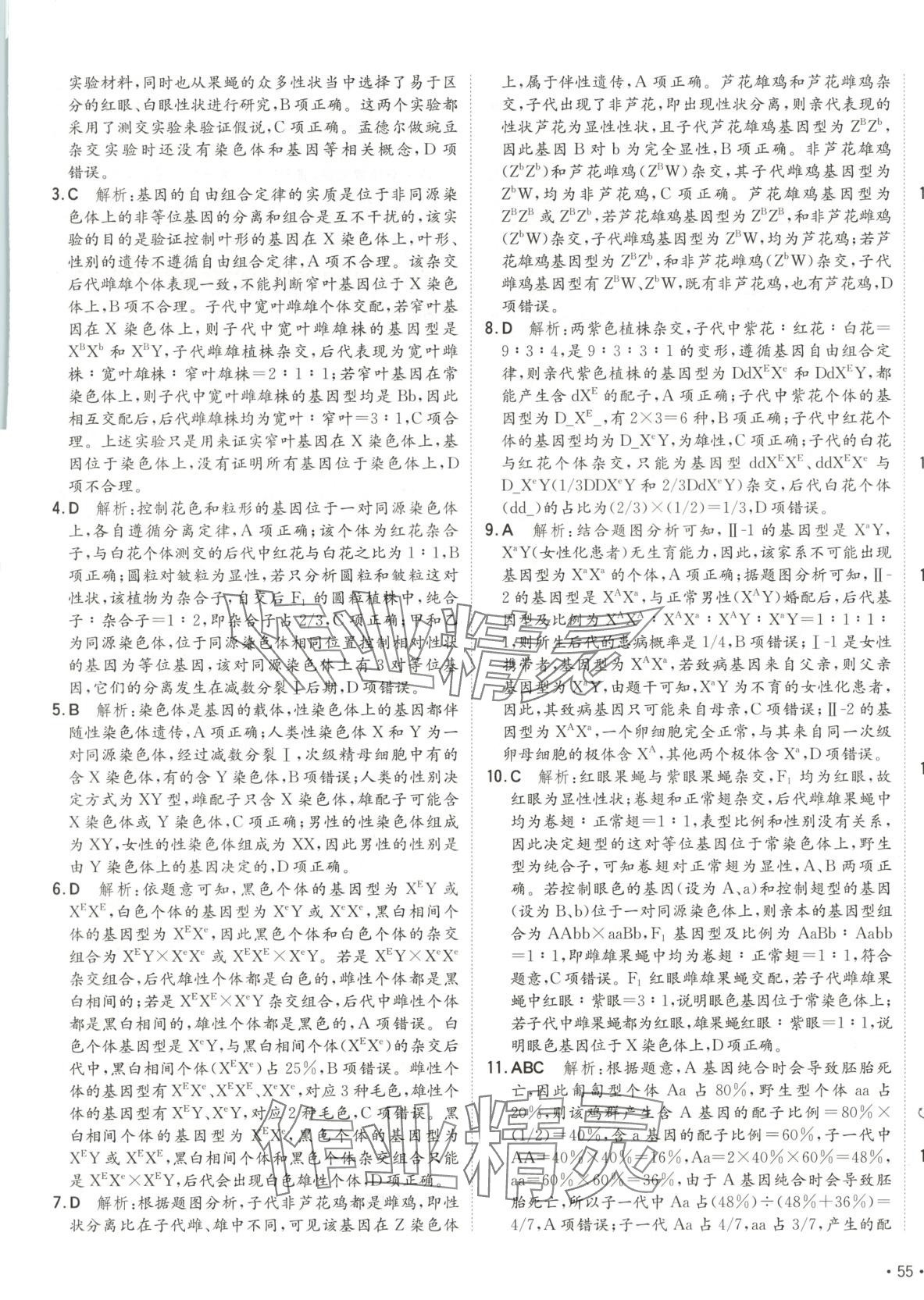 2025年卷霸高中同步測試卷高中生物必修2人教版 第5頁