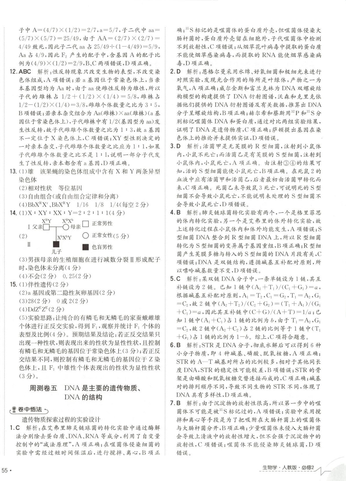 2025年卷霸高中同步測試卷高中生物必修2人教版 第6頁
