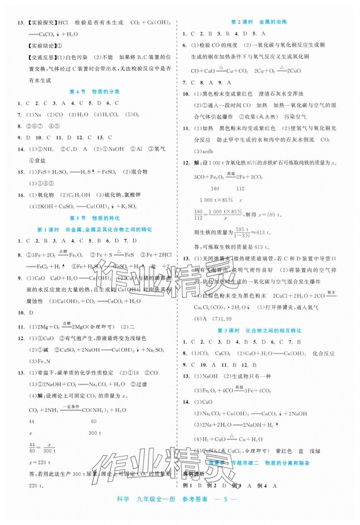 2023年精彩练习就练这一本九年级科学全一册浙教版评议教辅 第5页