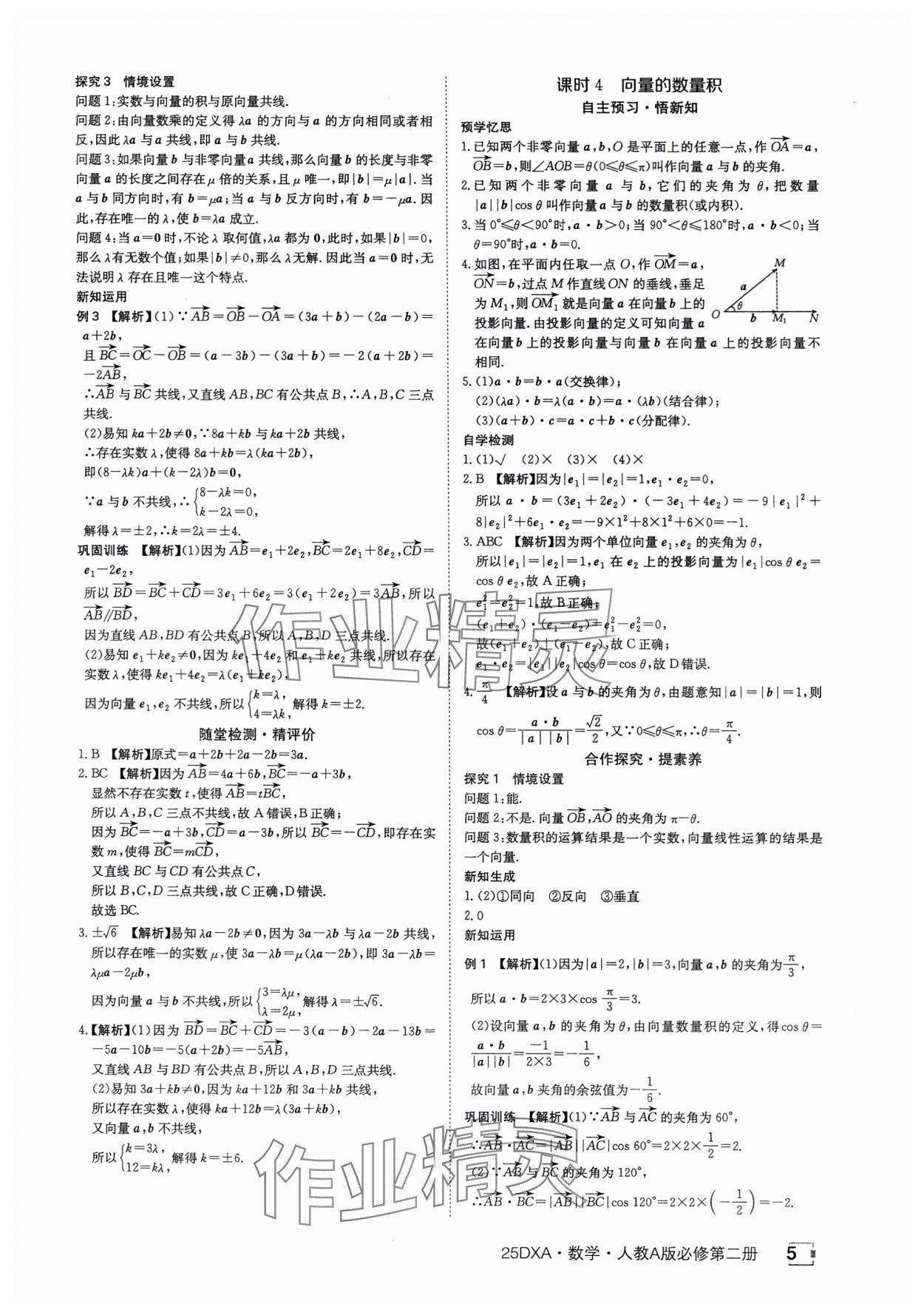 2025年金太陽導學案數學必修第二冊人教版A版 參考答案第5頁