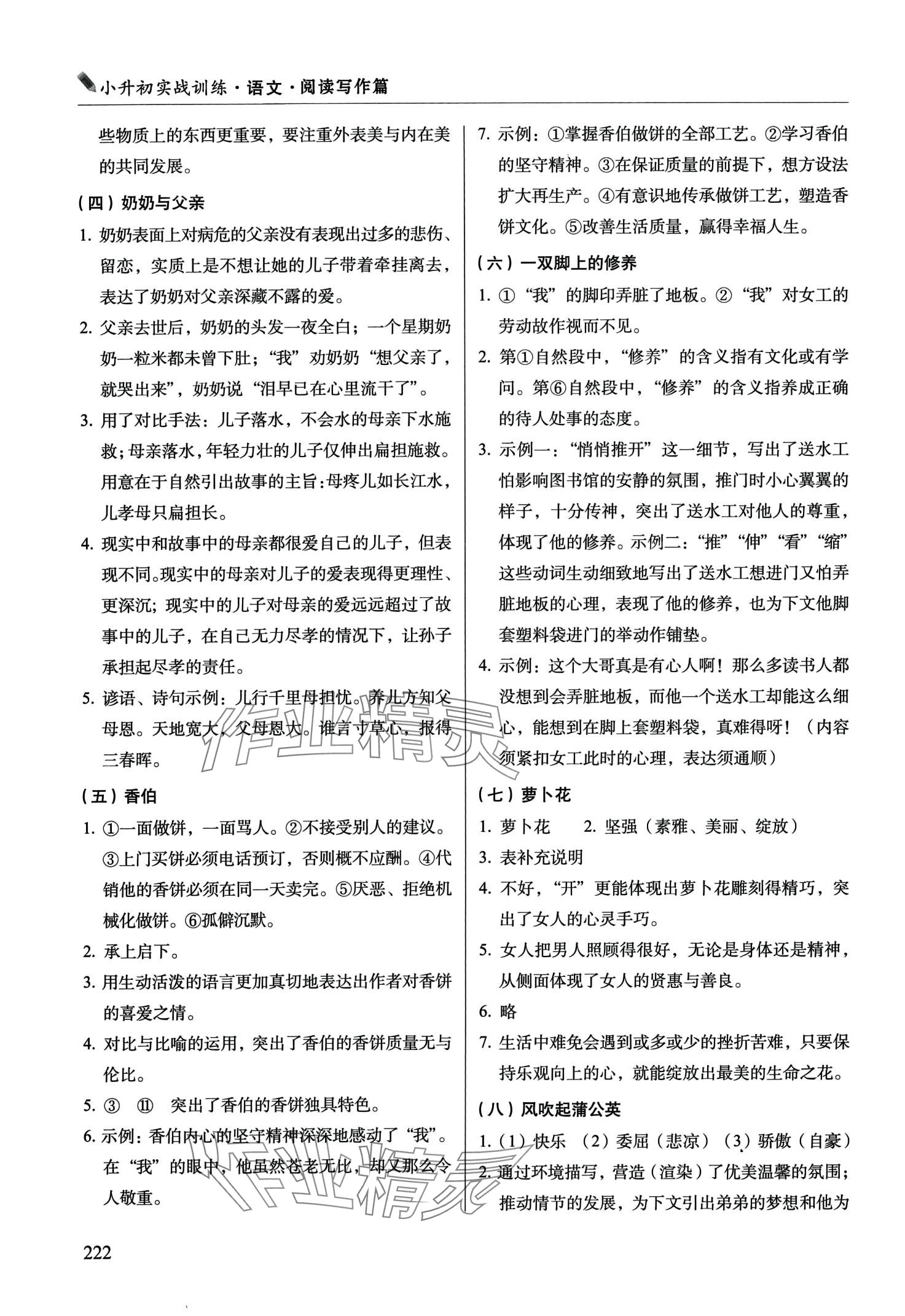 2024年小升初实战训练语文 第2页