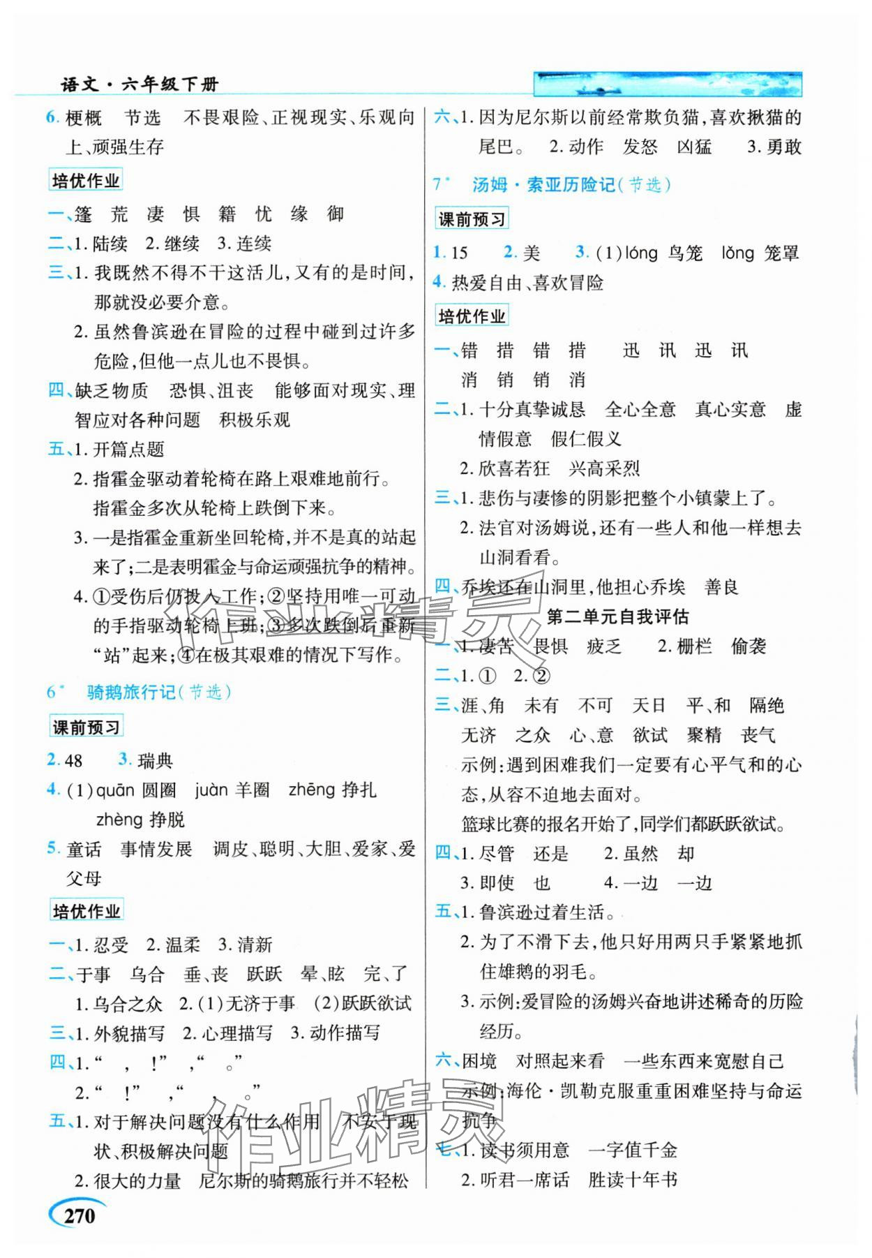 2025年新世紀(jì)英才引探練創(chuàng)英才教程六年級(jí)語(yǔ)文下冊(cè)人教版 參考答案第3頁(yè)