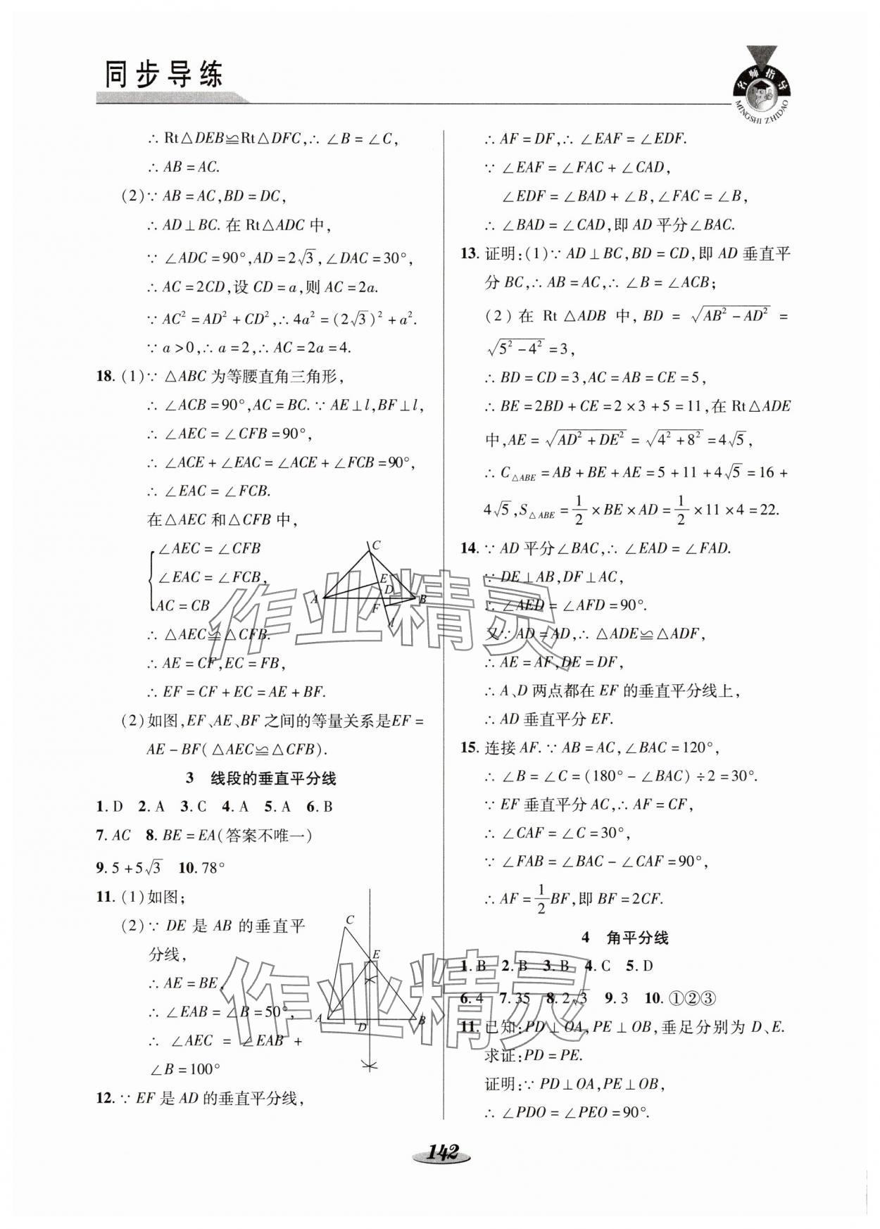 2025年新课标教材同步导练八年级数学下册北师大版C版 参考答案第3页