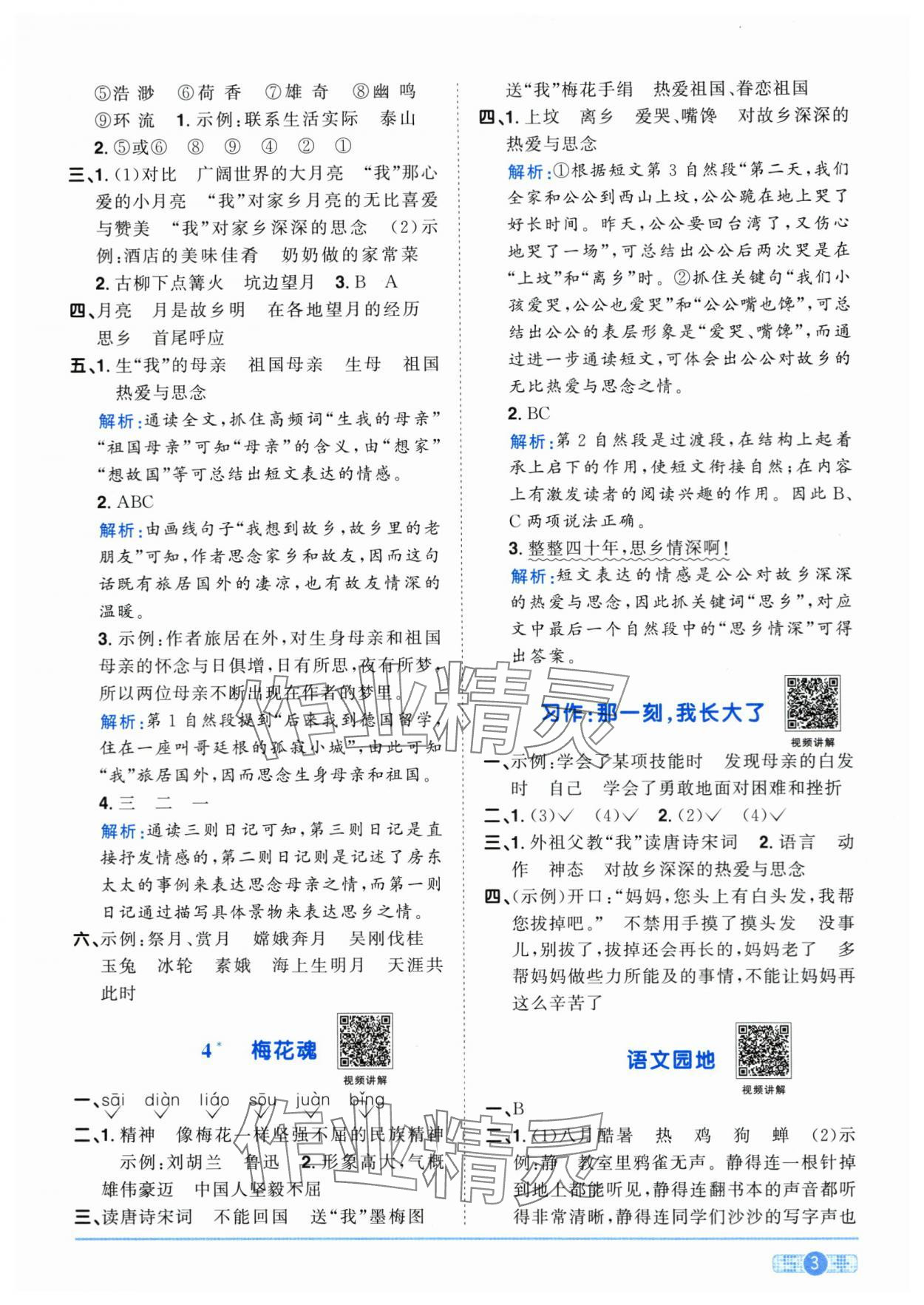 2024年陽光同學課時優(yōu)化作業(yè)五年級語文下冊人教版菏澤專版 第3頁