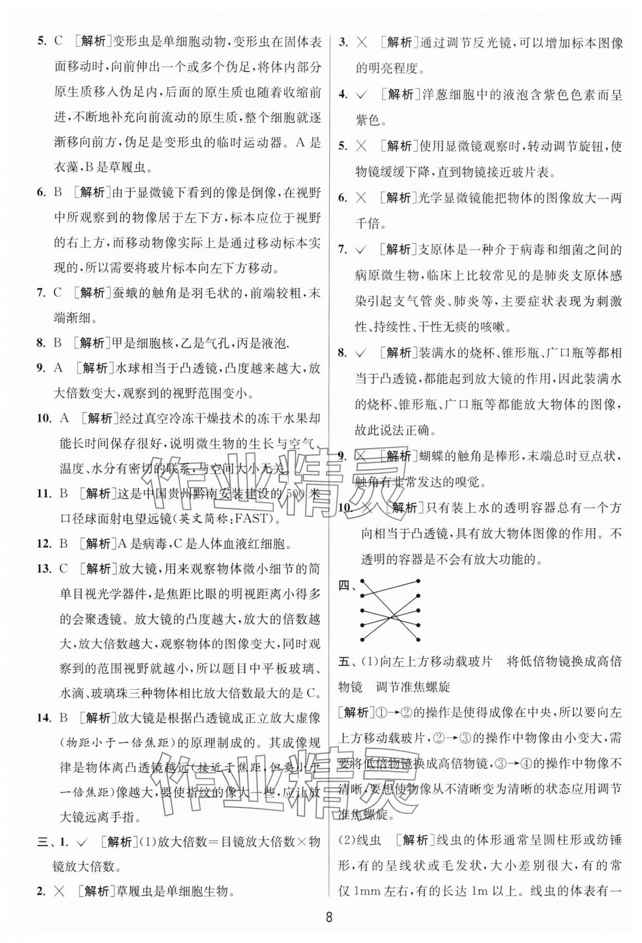 2024年实验班提优训练六年级科学上册教科版浙江专版 第8页