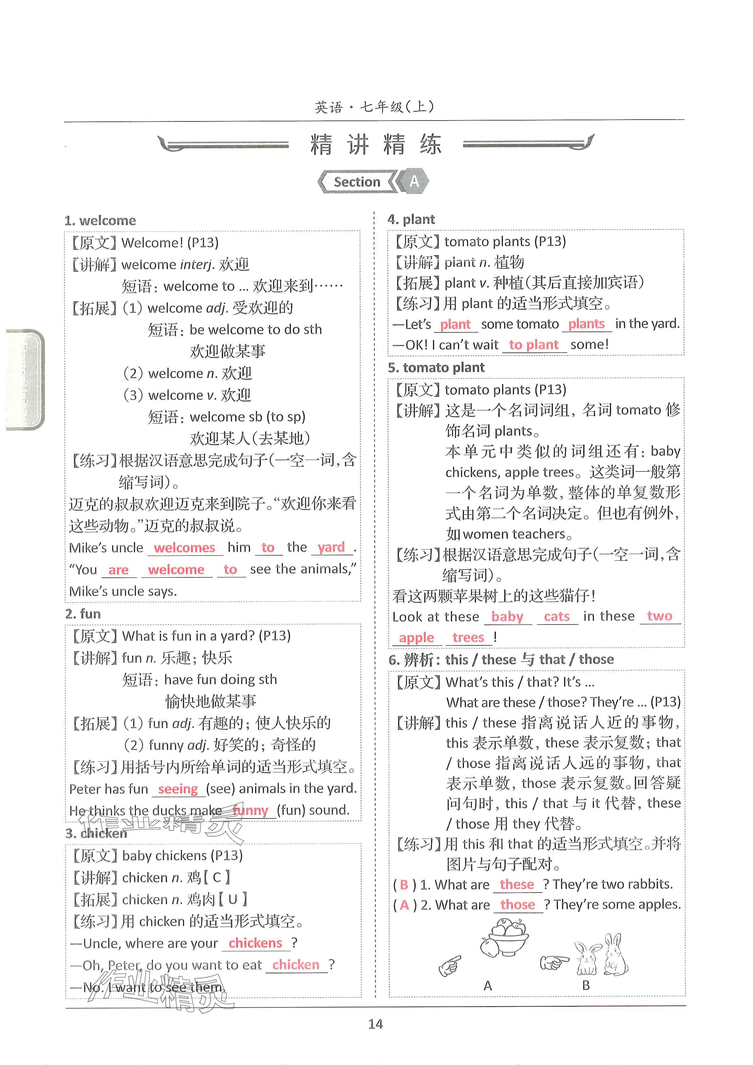 2024年新视界单元复习七年级英语上册人教版&nbsp;参考答案第14页
