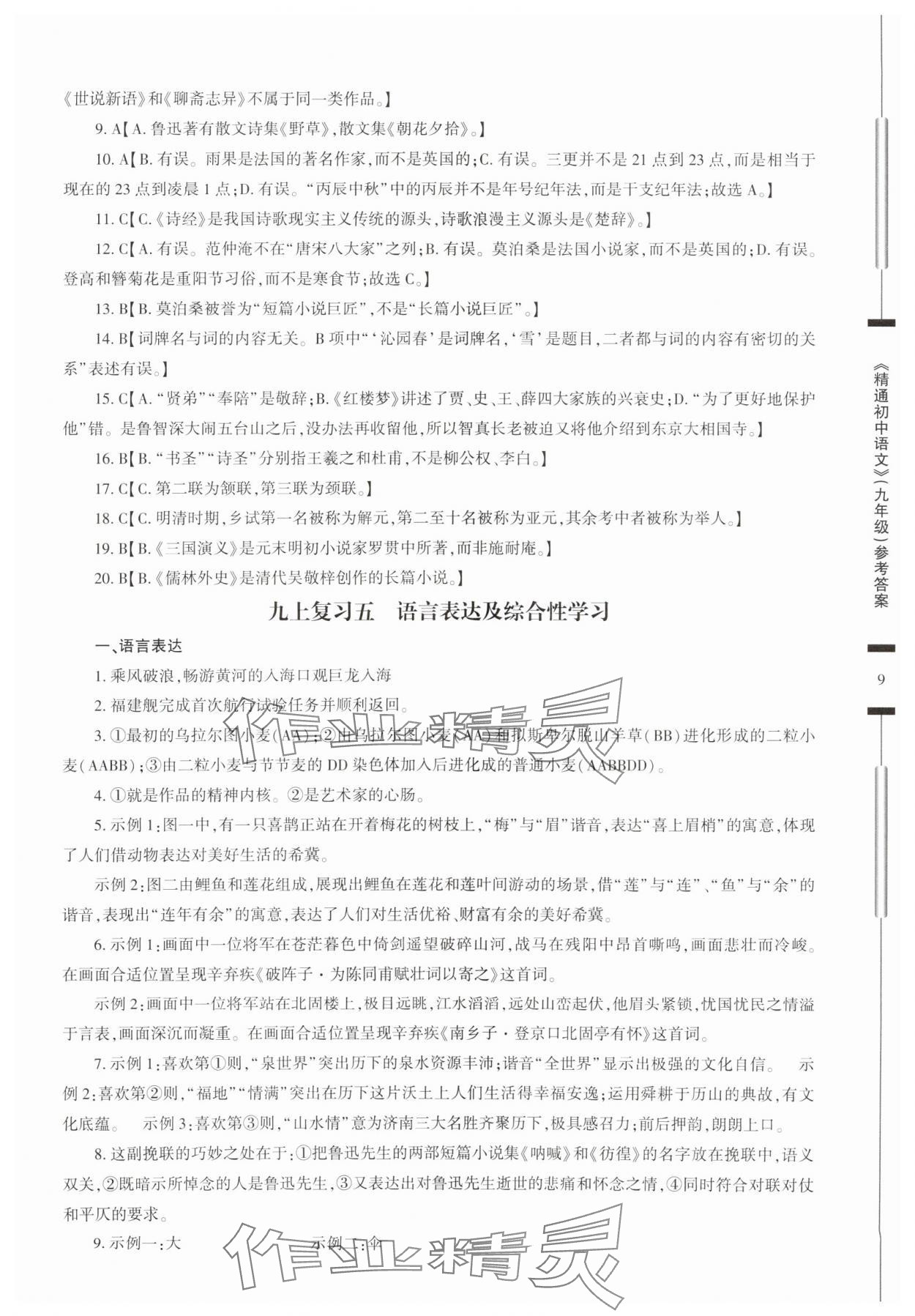 2025年精通初中語(yǔ)文九年級(jí)人教版 參考答案第9頁(yè)