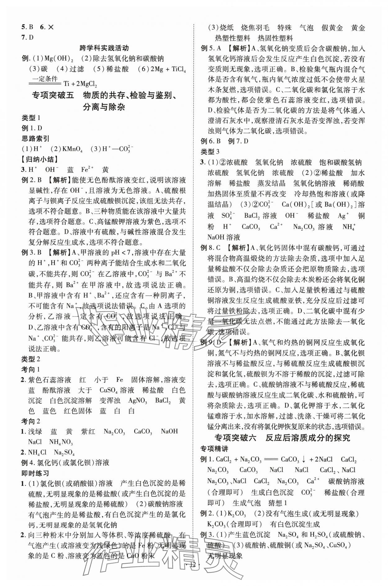 2025年中考必備云南美術出版社化學貴州專版 參考答案第12頁
