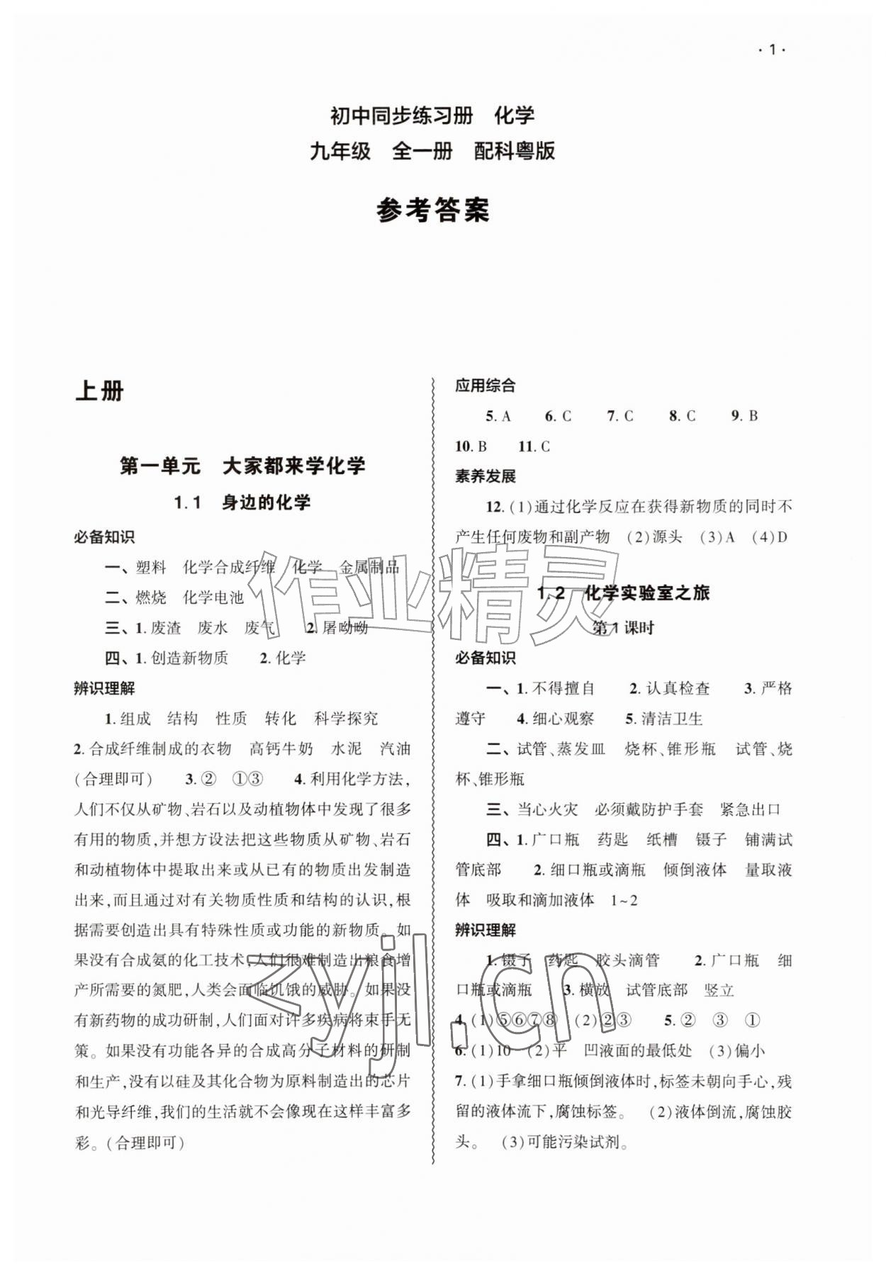 2026年同步练习册大象出版社九年级化学全一册科粤版&nbsp;第1页