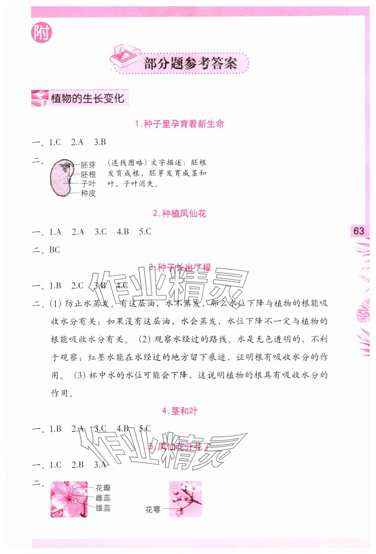 2024年學(xué)習與鞏固四年級科學(xué)下冊教科版 第1頁