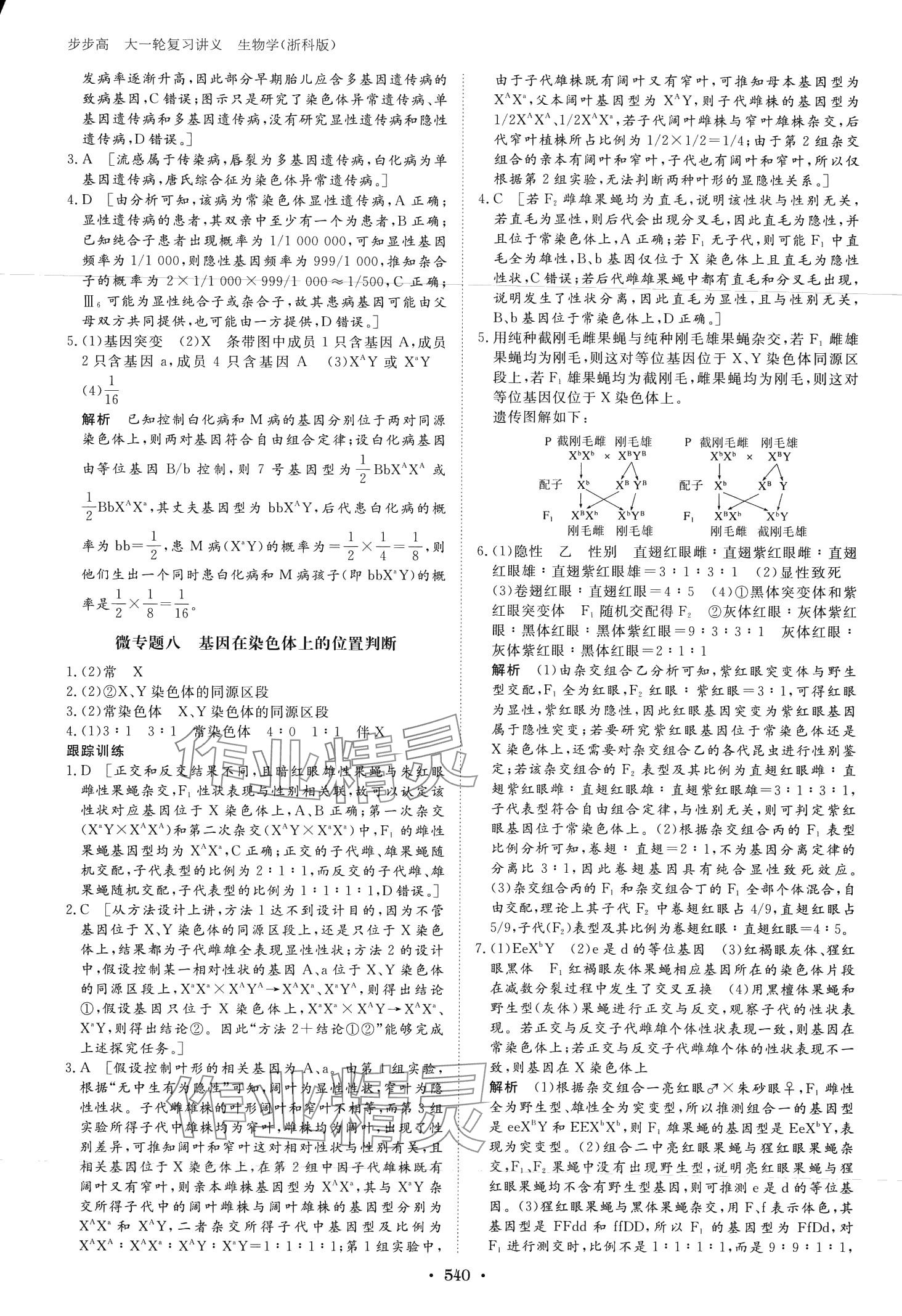 2024年步步高大一輪復(fù)習(xí)講義高中生物浙科版 第30頁(yè)