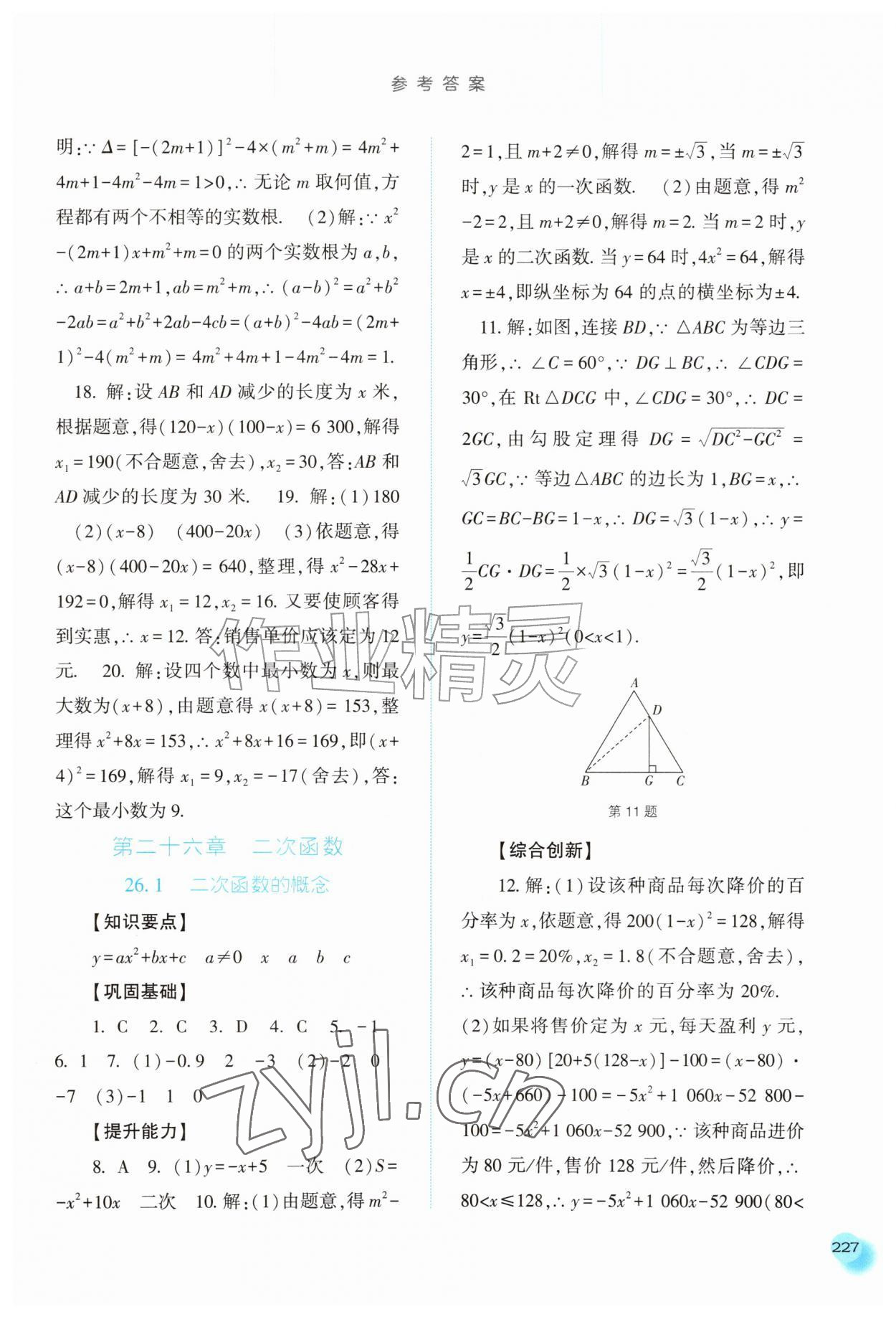 2026年同步训练河北人民出版社九年级数学上册人教版&nbsp;第7页