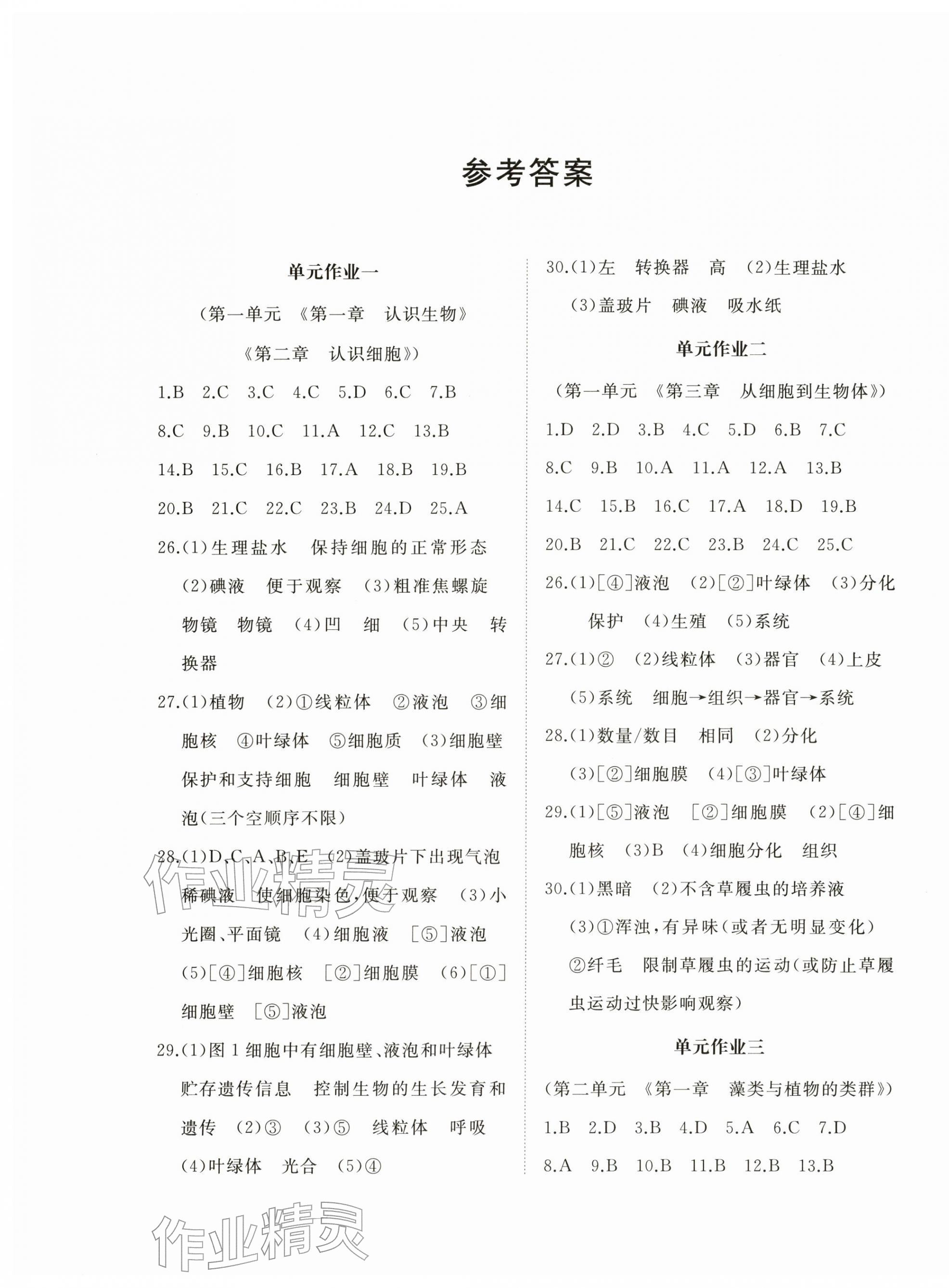 2025年精练课堂分层作业七年级生物上册人教版临沂专版 第1页