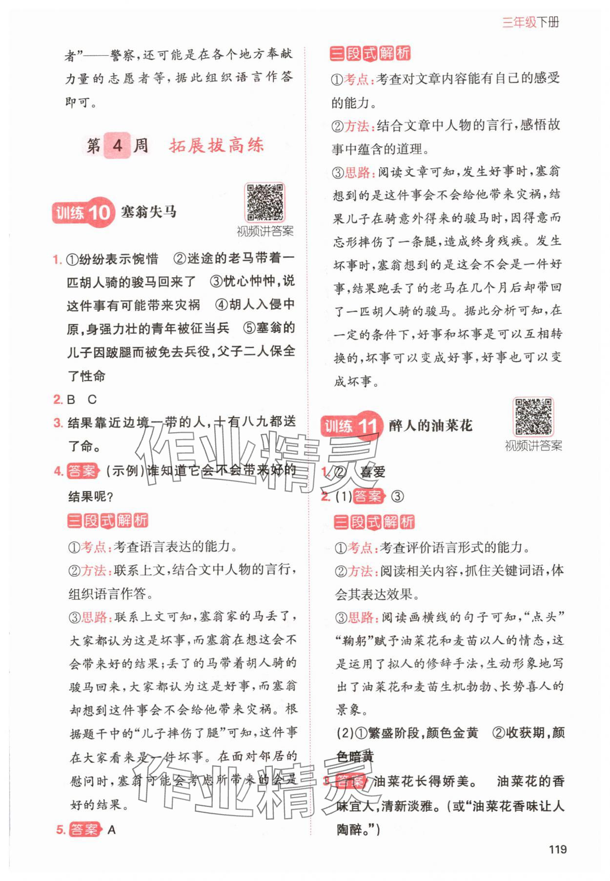 2024年一本小學(xué)語(yǔ)文同步閱讀三年級(jí)下冊(cè)人教版 參考答案第7頁(yè)