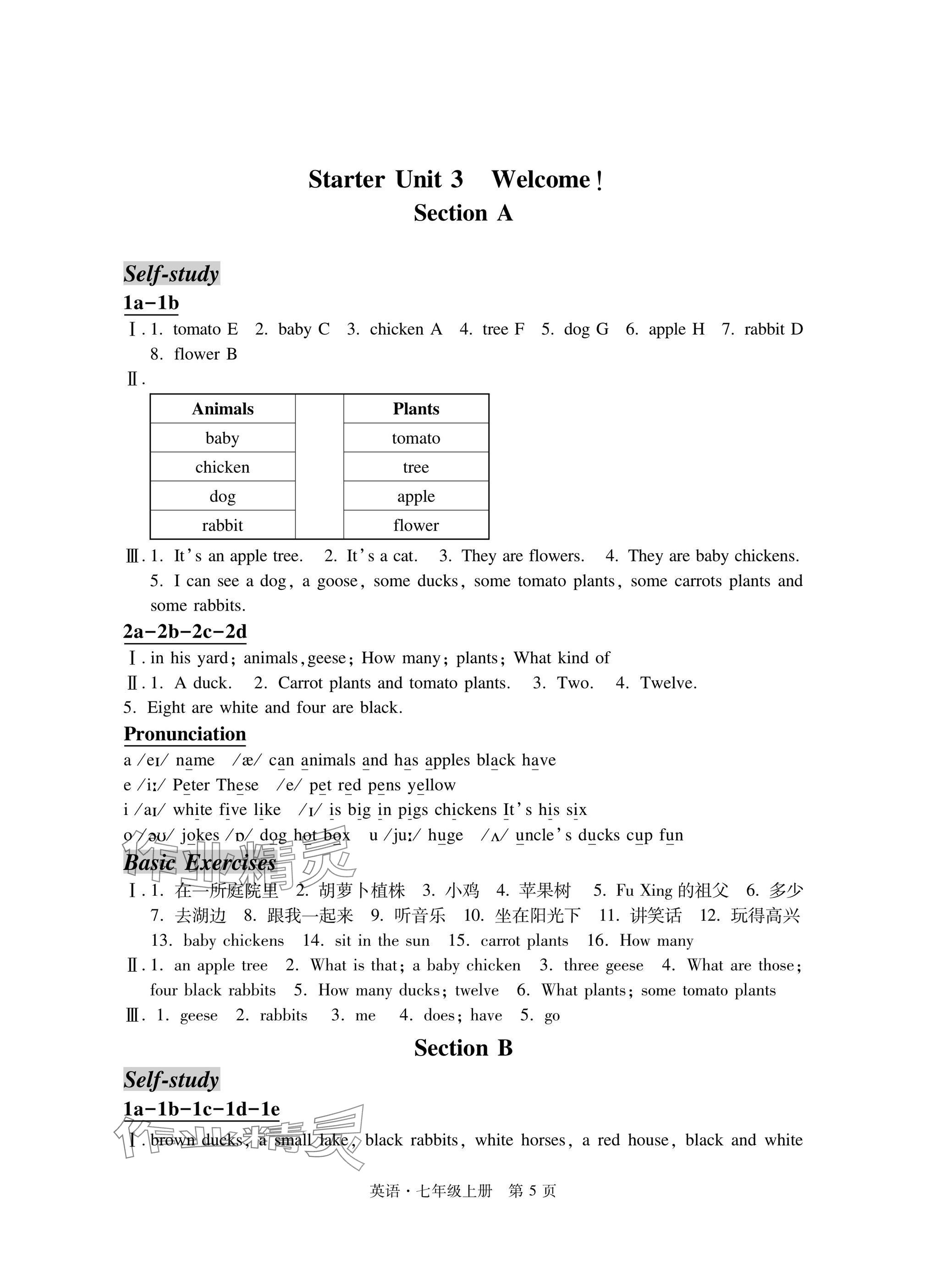 2025年自主学习指导课程与测试七年级英语上册人教版&nbsp;参考答案第5页