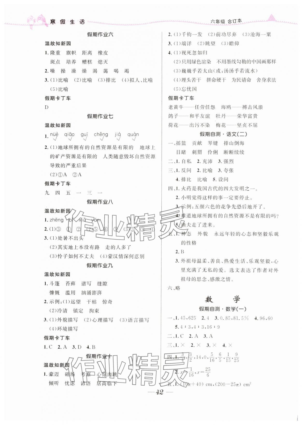 2024年寒假生活北京师范大学出版社六年级综合人教版 第2页
