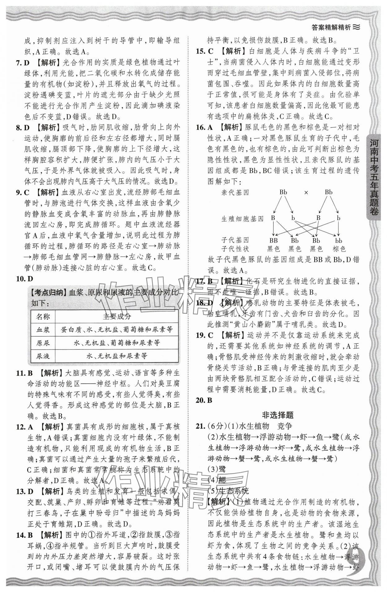 2024年王朝霞中考真題精編生物河南專版 參考答案第9頁