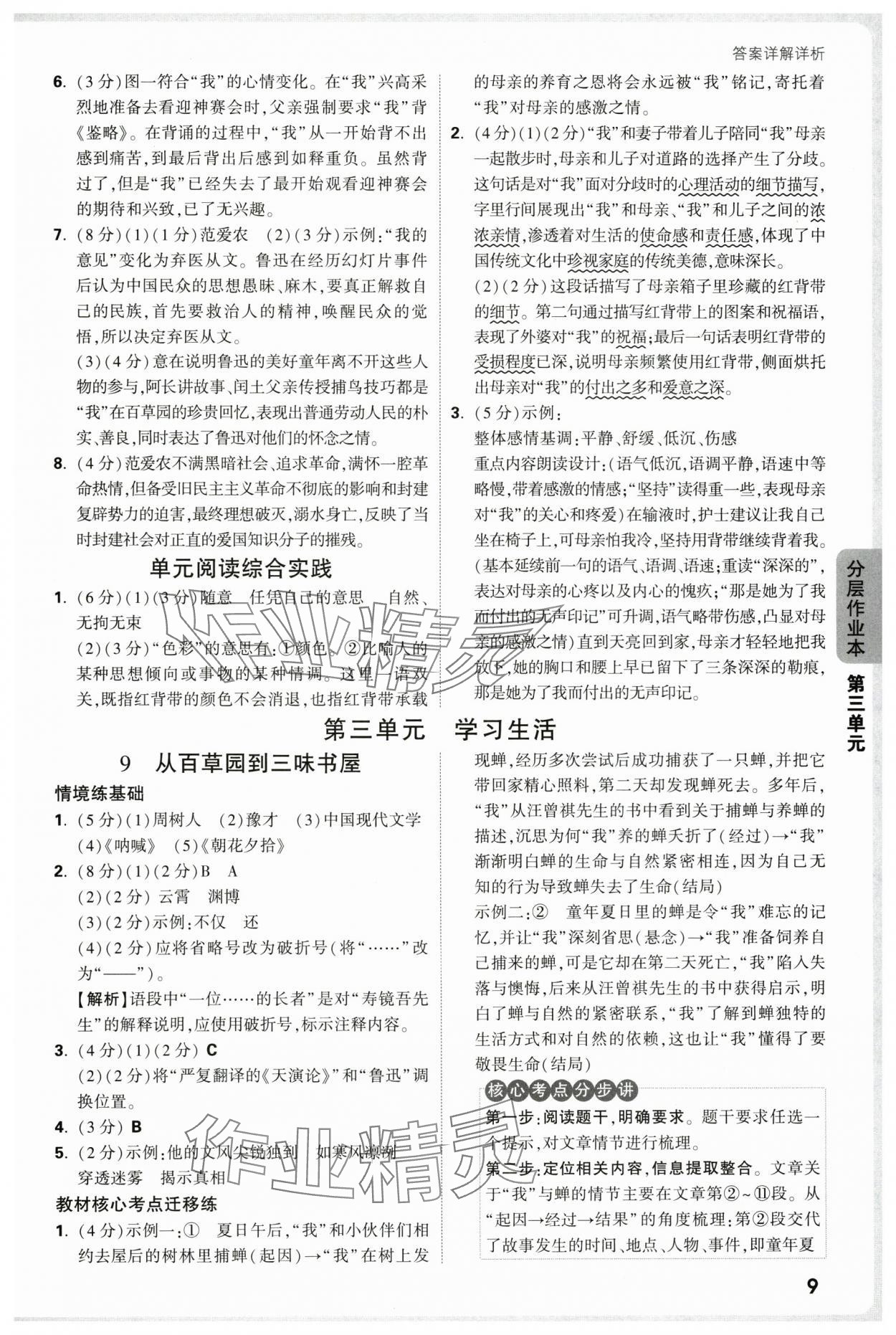 2025年万唯中考情境题七年级语文上册人教版&nbsp;第9页