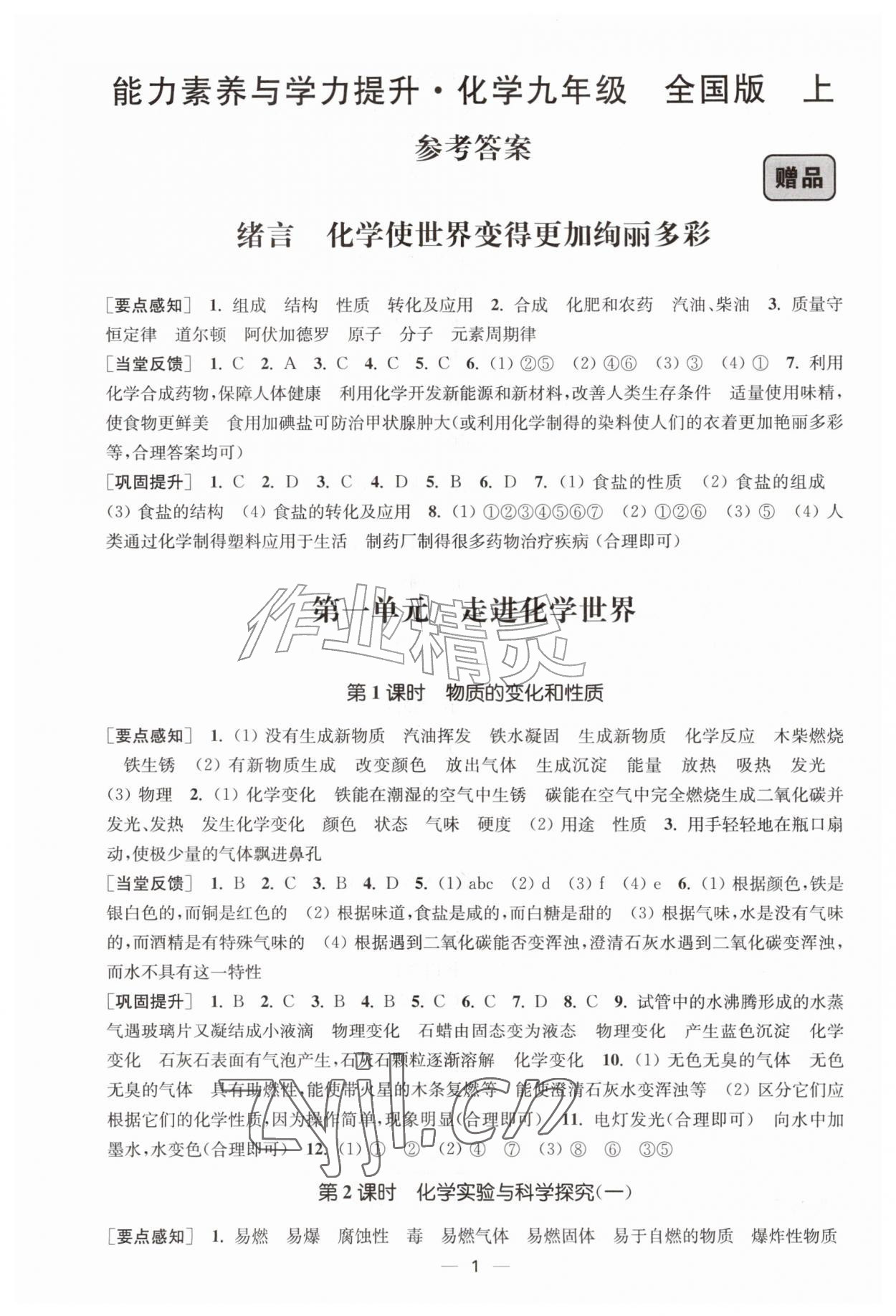 2026年能力素养与学力提升九年级化学上册人教版&nbsp;第1页