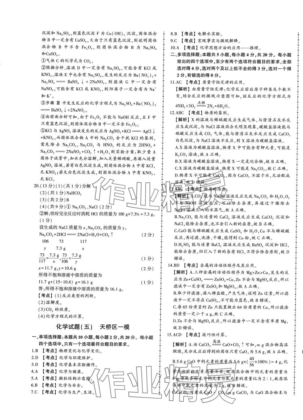 2024年中考114化學濟南專版 第9頁