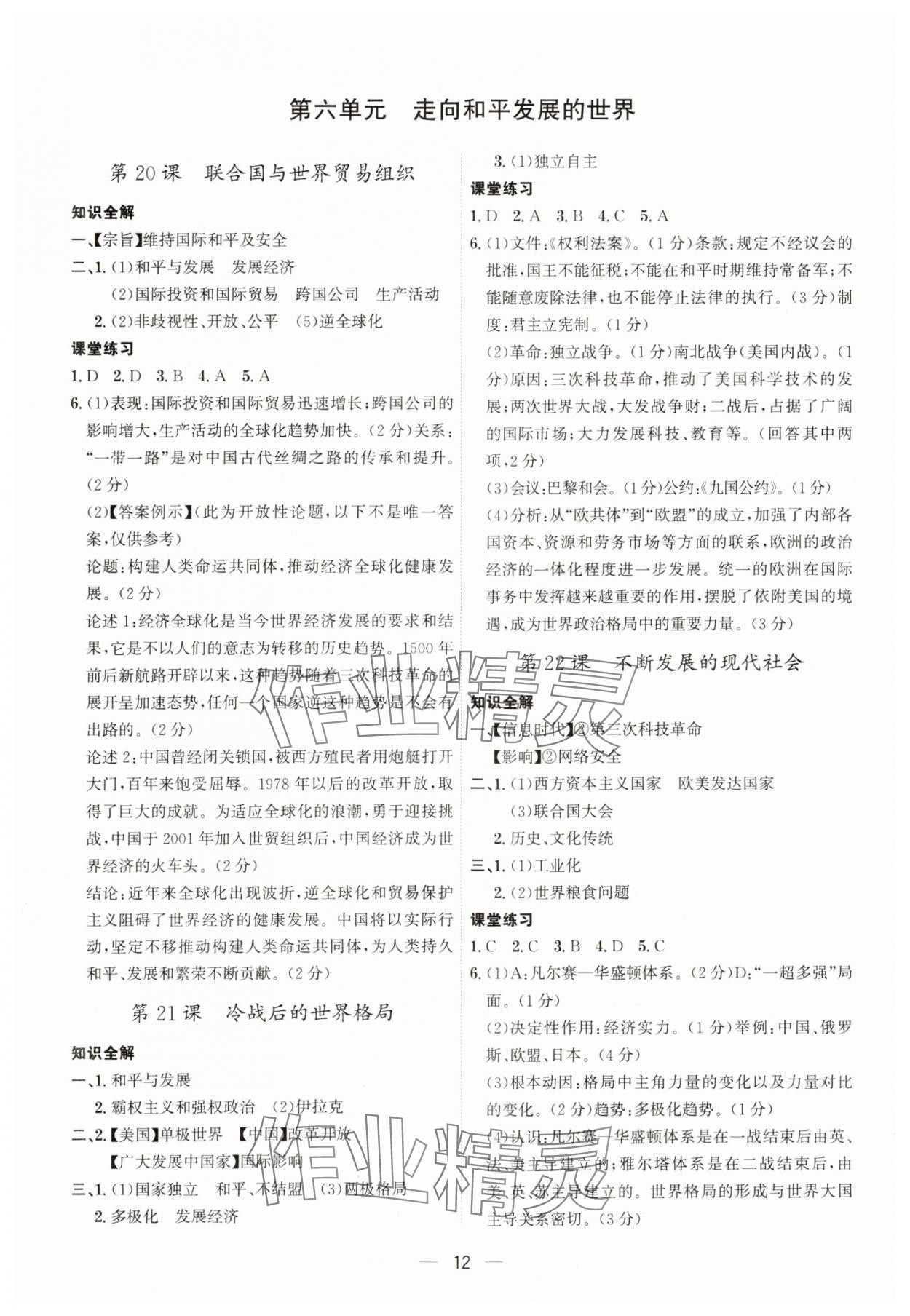 2023年考點專練九年級歷史全一冊人教版深圳專版 第12頁