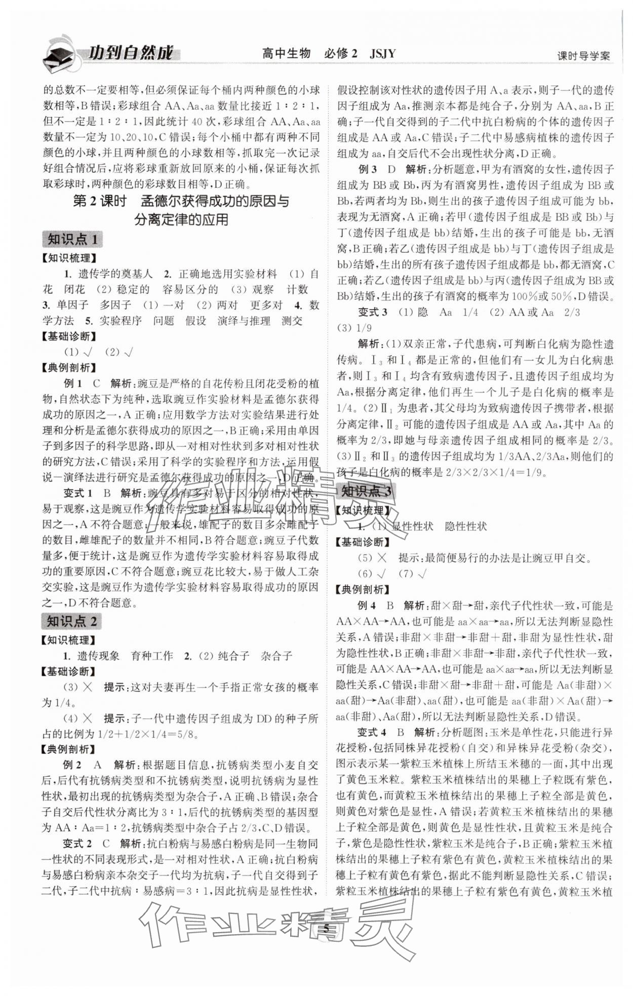 2025年功到自然成高中生物必修2蘇教版 參考答案第5頁