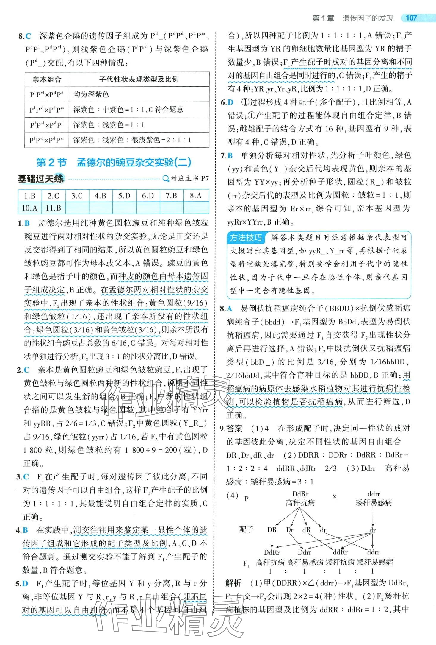 2024年5年高考3年模擬高中生物必修2人教版 第7頁