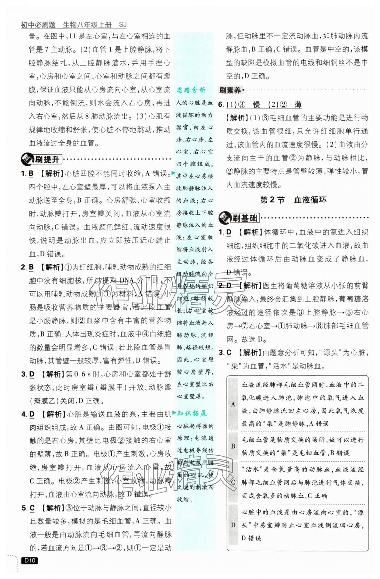 2025年初中必刷题八年级生物上册苏教版&nbsp;第10页