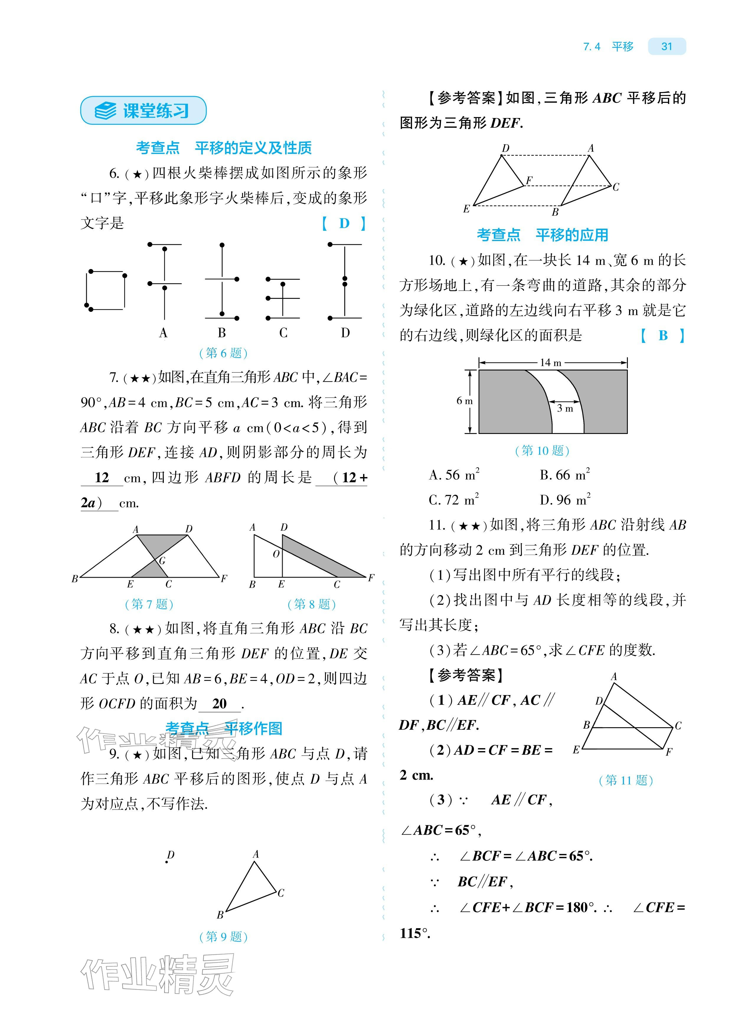 2026年基础训练大象出版社七年级数学下册人教版&nbsp;参考答案第31页