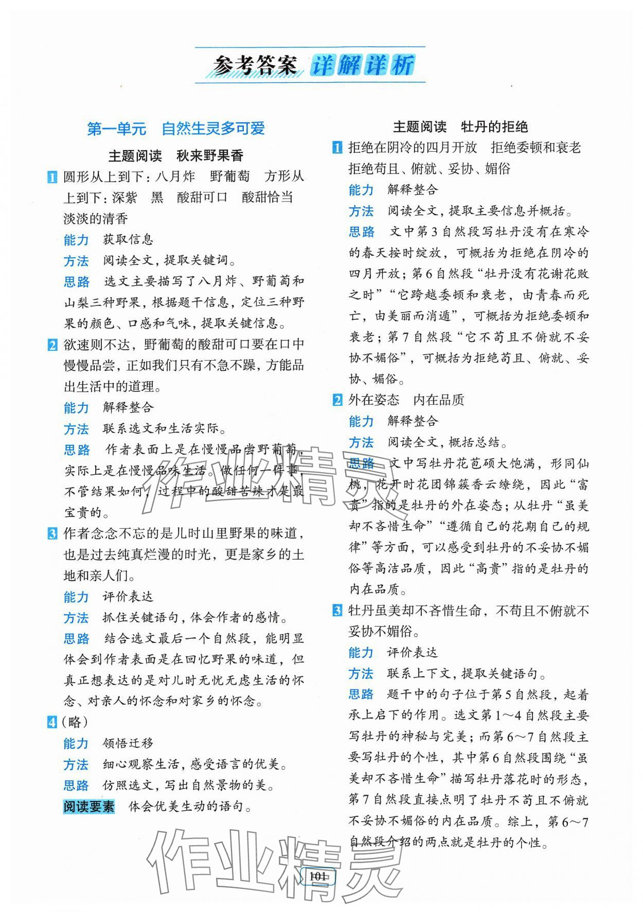 2024年知行合閱讀主題拓展訓練三年級語文下冊人教版 參考答案第1頁