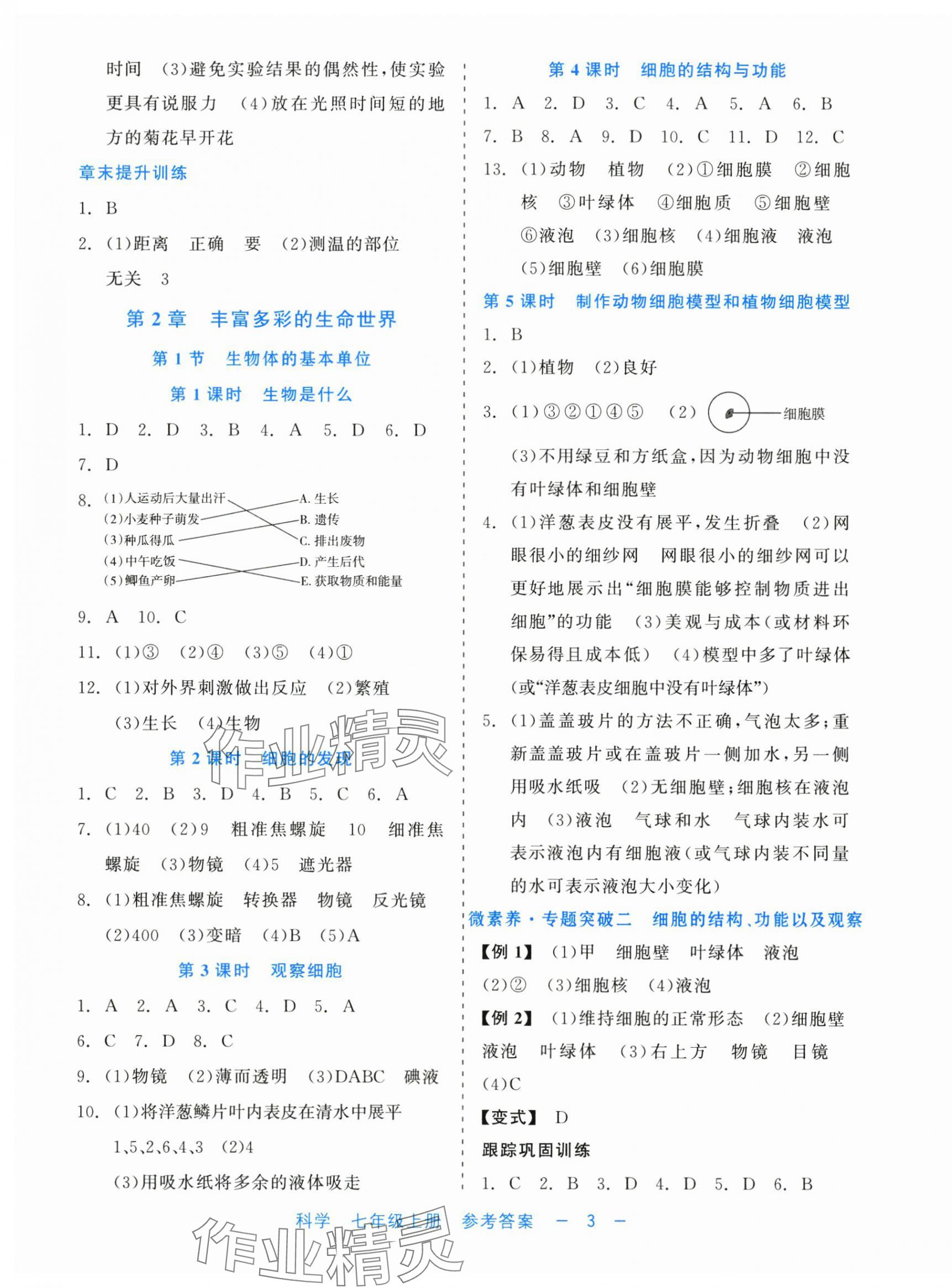 2024年精彩练习就练这一本七年级科学上册浙教版评议教辅 第3页