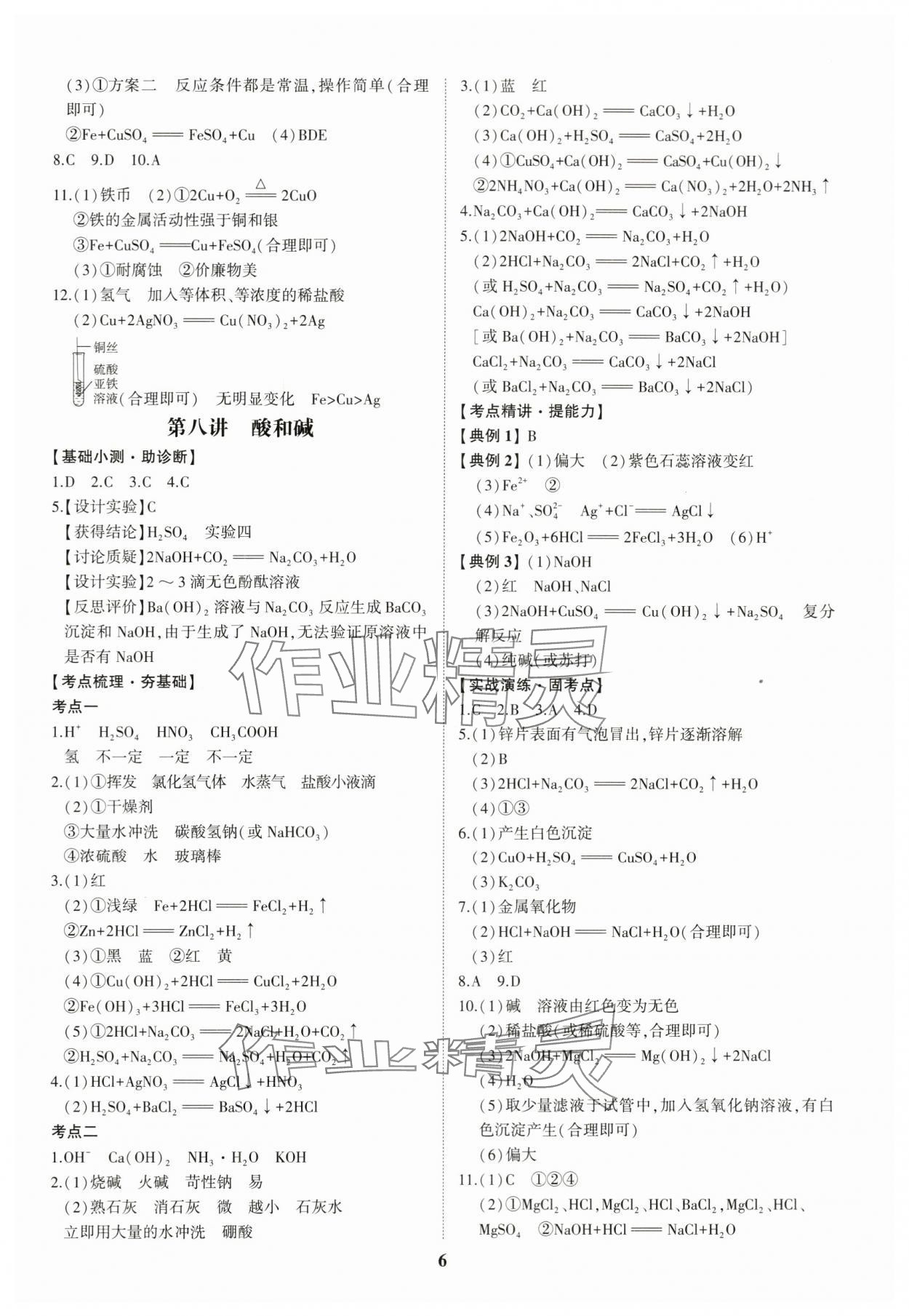 2024年初中總復(fù)習(xí)手冊山東科學(xué)技術(shù)出版社化學(xué) 第6頁