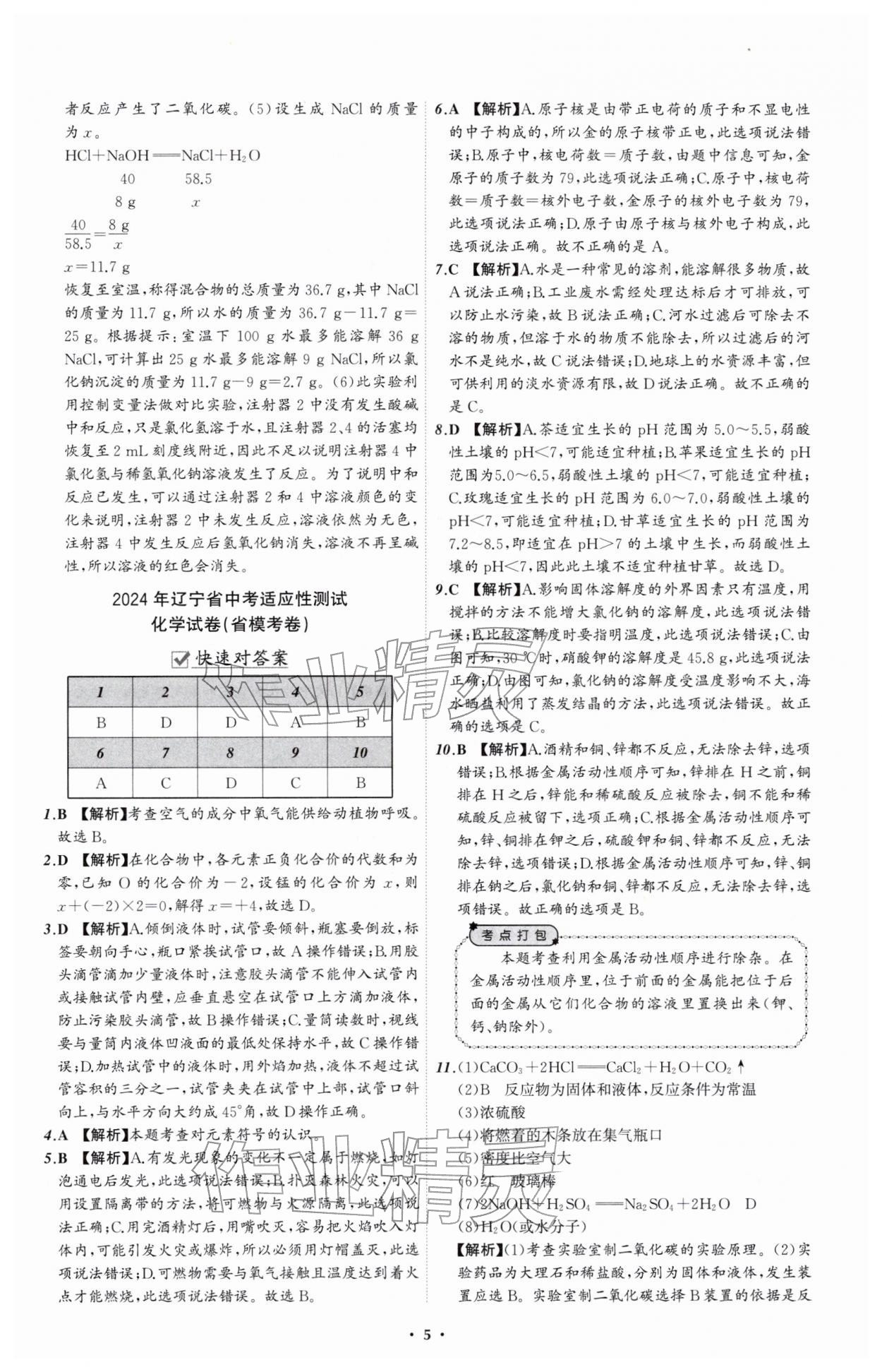 2026年中考必备辽宁师范大学出版社化学辽宁专版&nbsp;参考答案第5页