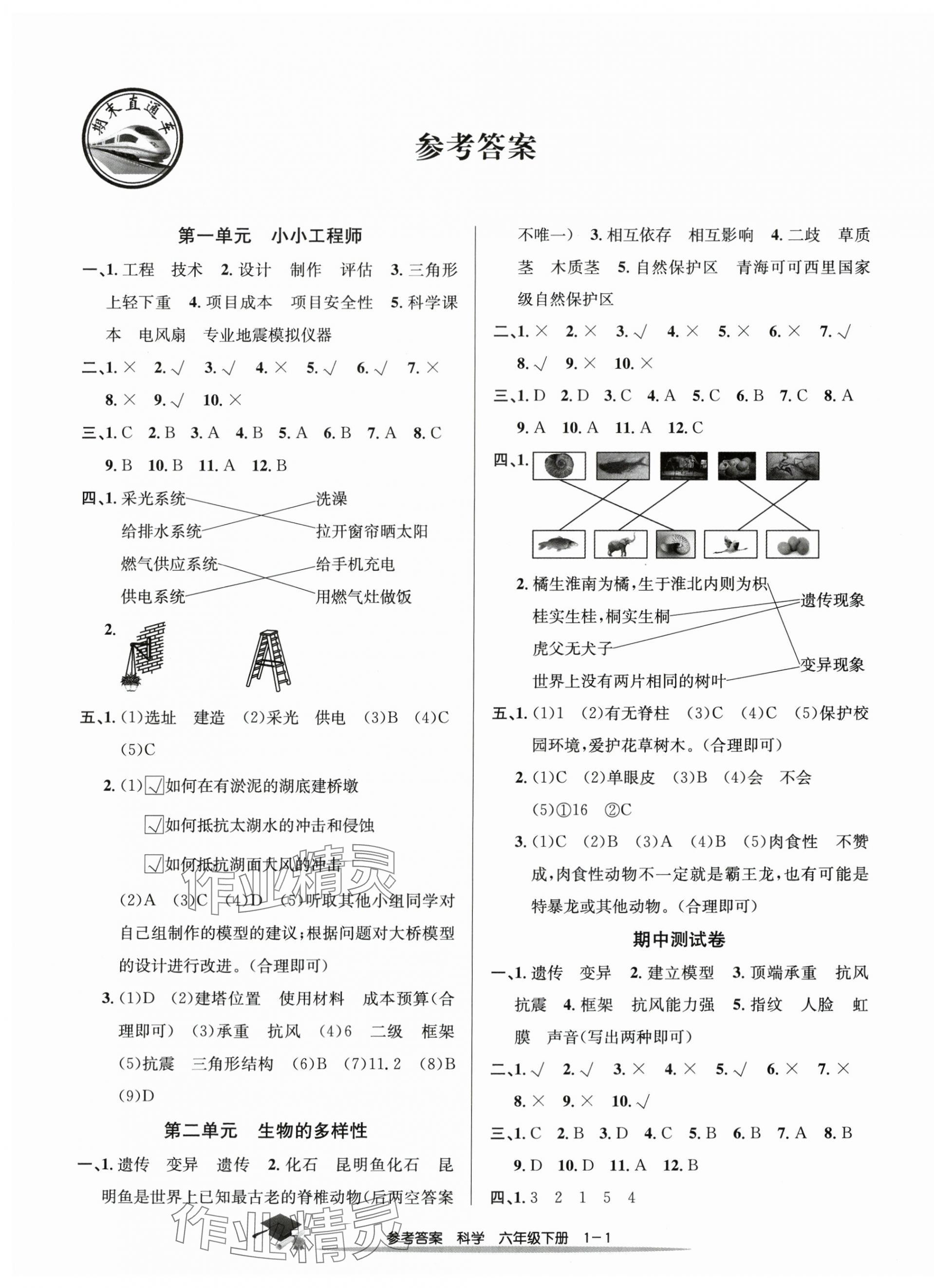 2025年期末直通車六年級科學下冊教科版 第1頁
