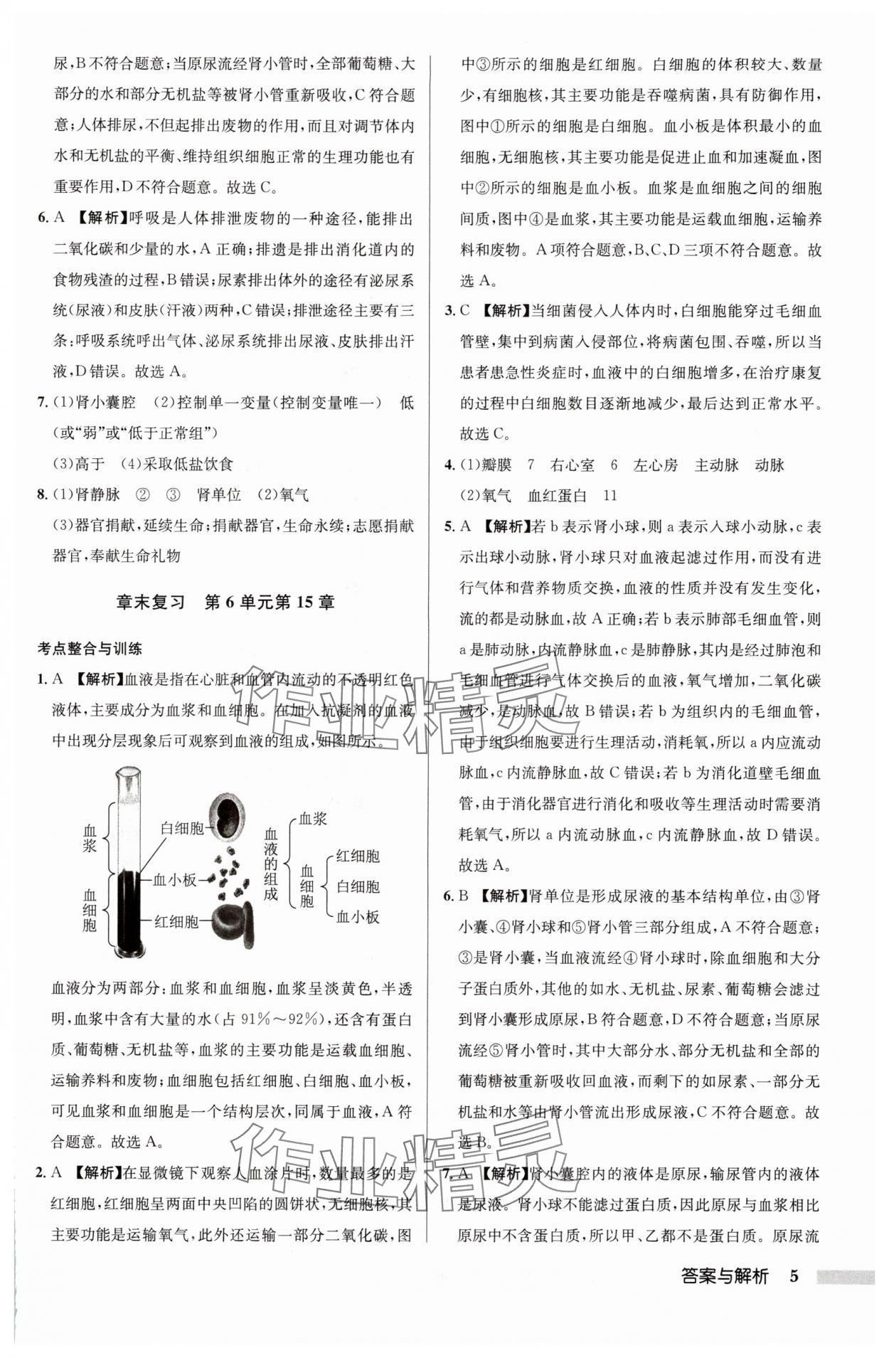 2024年啟東中學作業(yè)本八年級生物全一冊蘇科版 參考答案第5頁