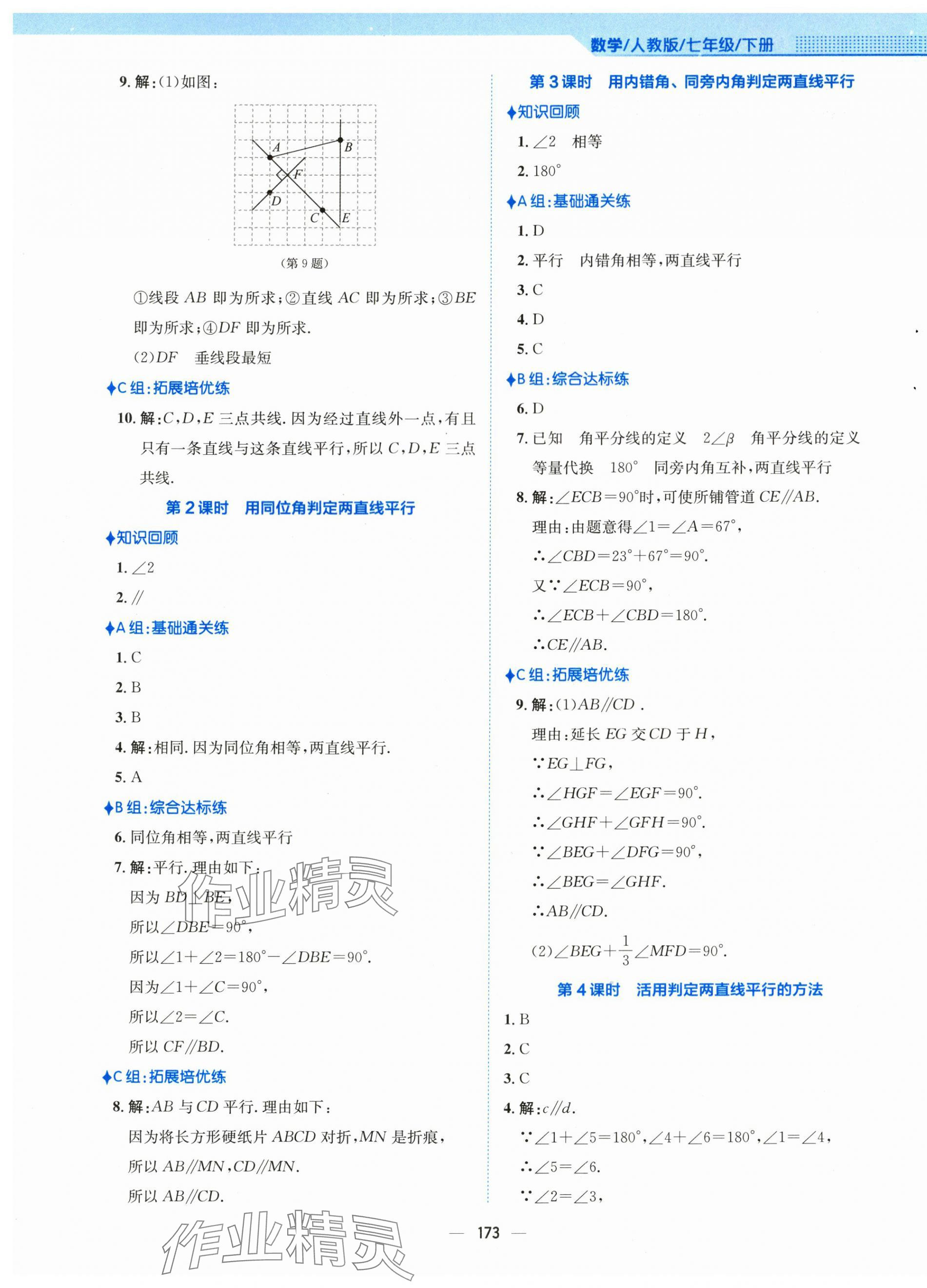 2024年新编基础训练七年级数学下册人教版 第5页