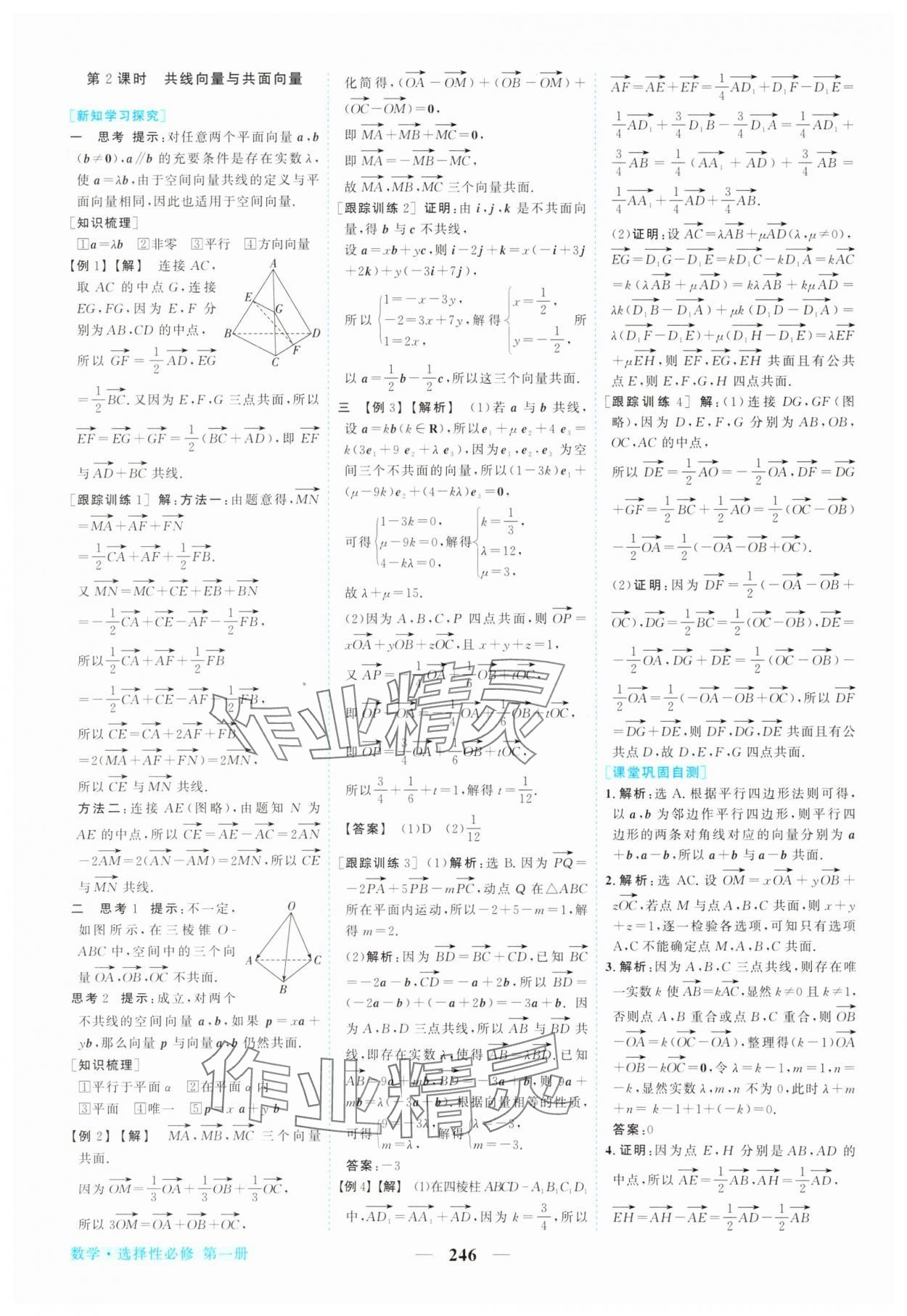 2025年新坐标同步练习高中数学选择性必修第一册人教版 第2页