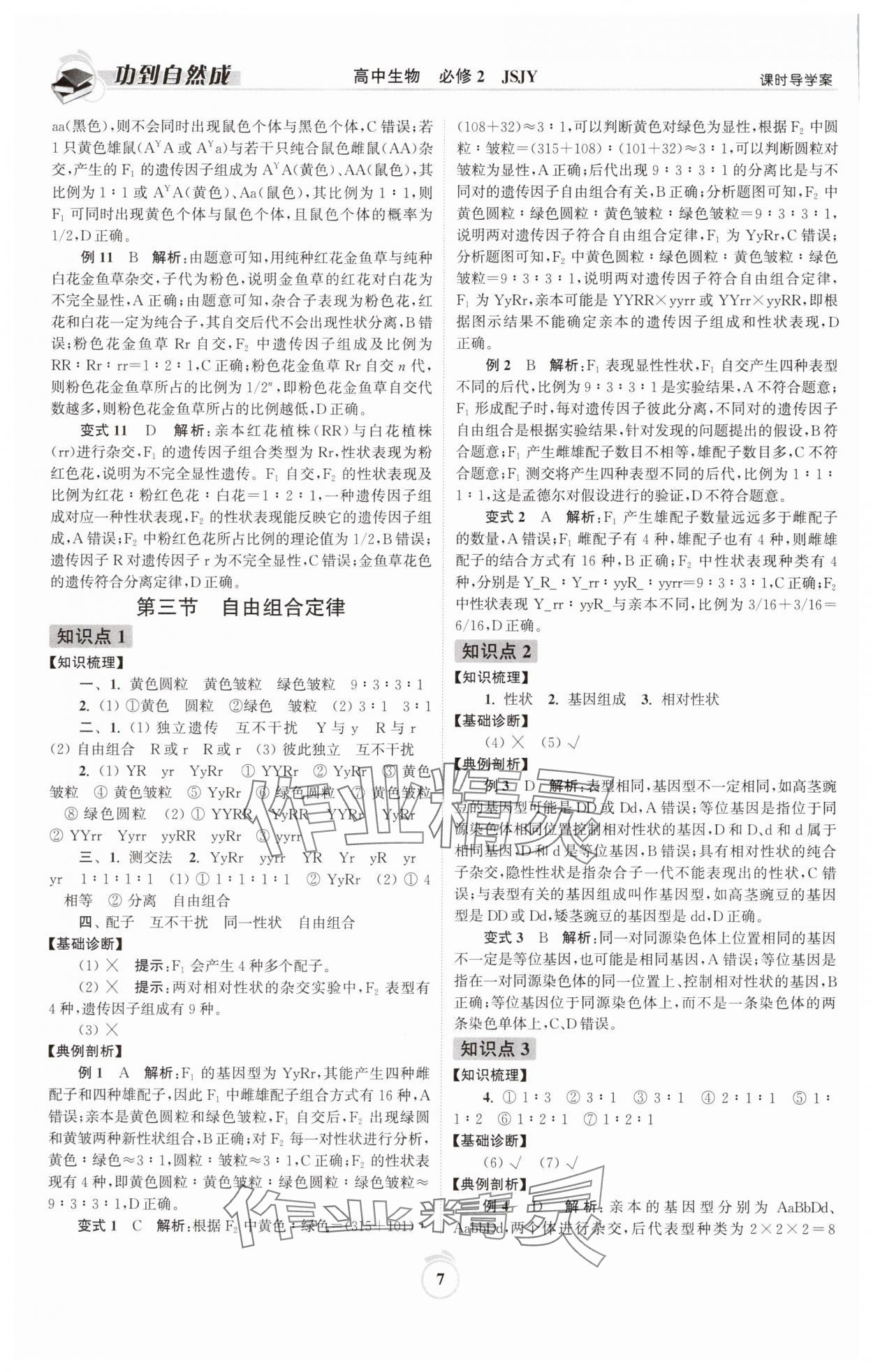 2025年功到自然成高中生物必修2蘇教版 參考答案第7頁