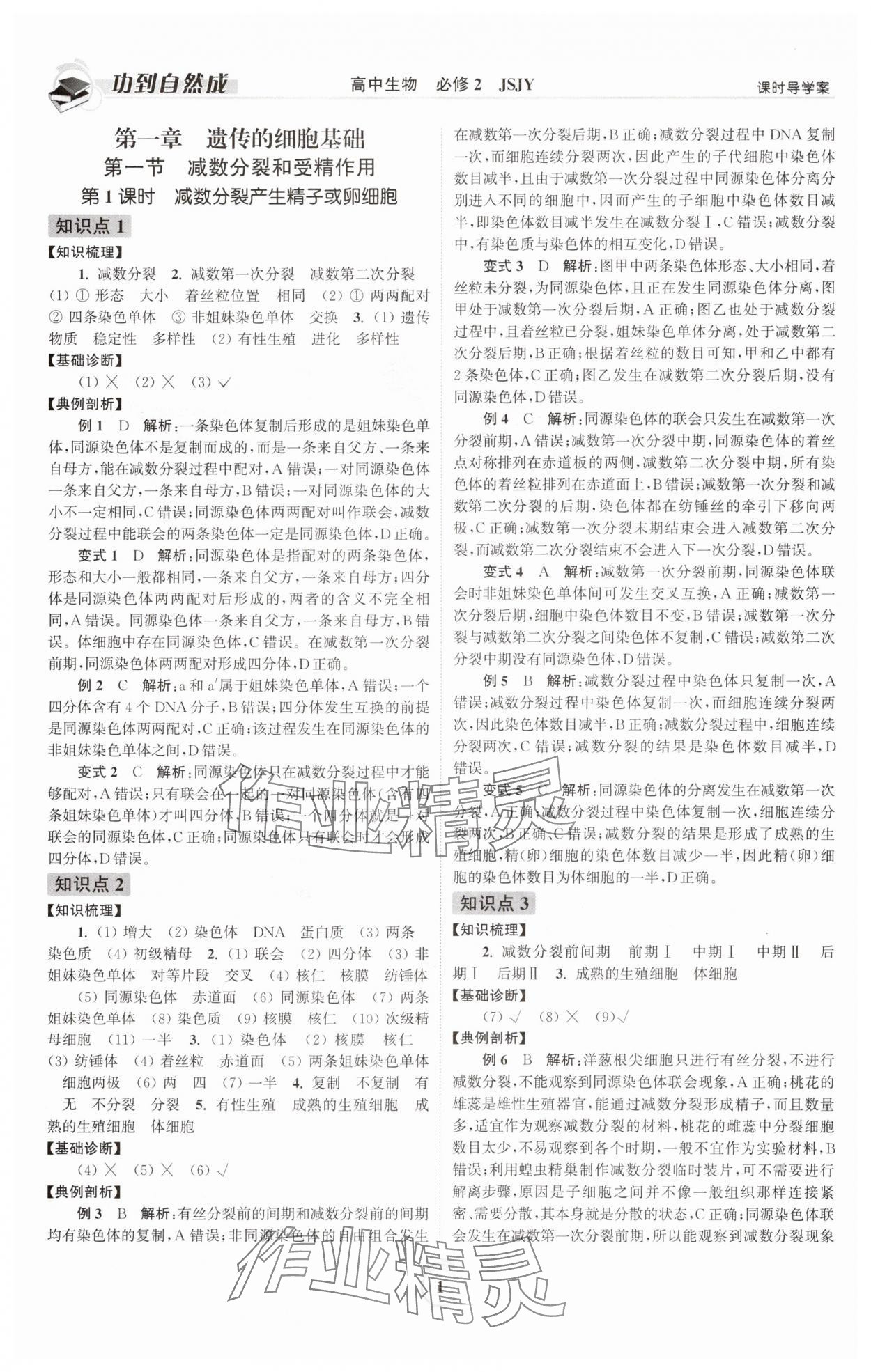 2025年功到自然成高中生物必修2蘇教版 參考答案第1頁