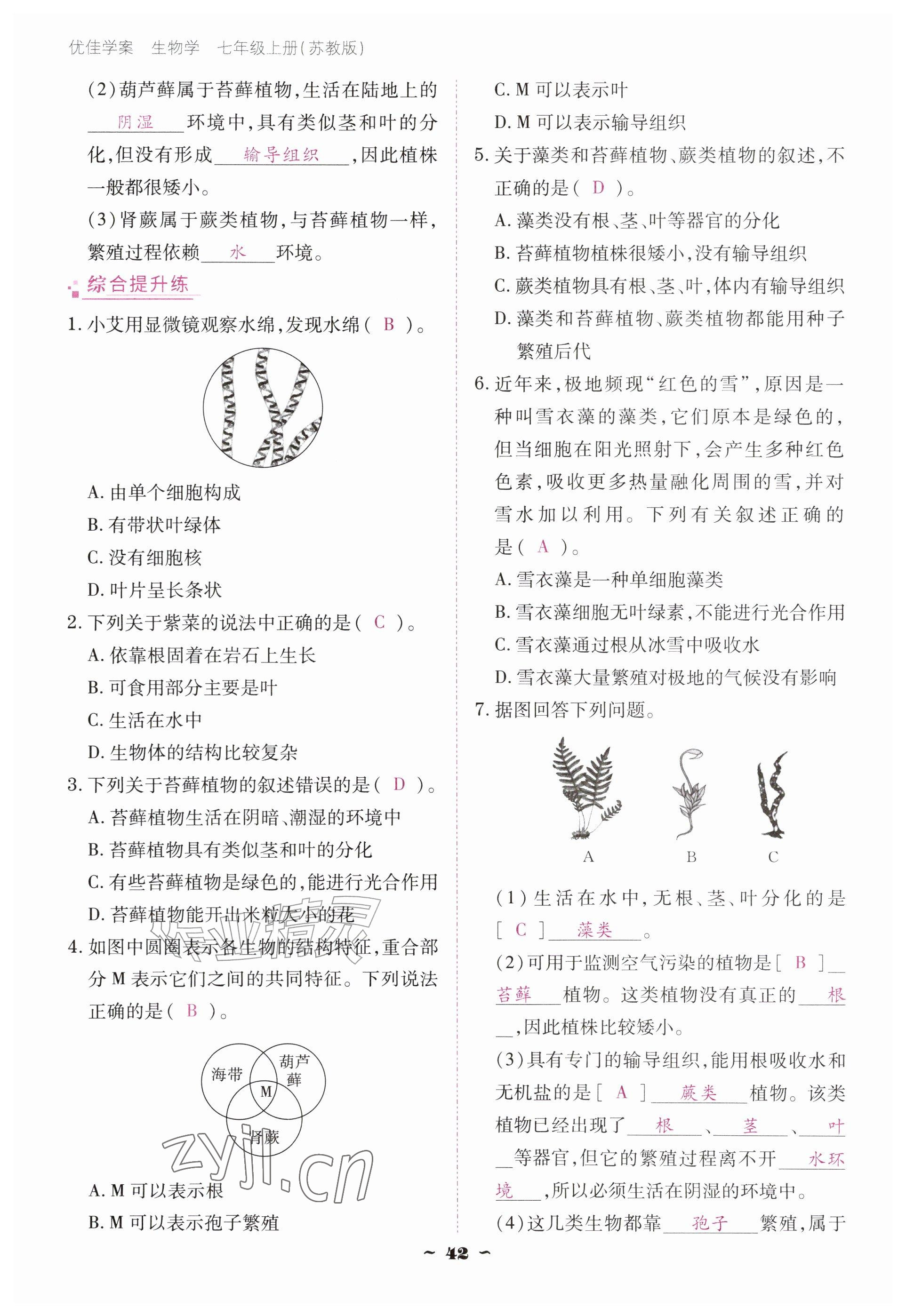 2026年云南省标准教辅优佳学案七年级历史上册人教版&nbsp;参考答案第42页