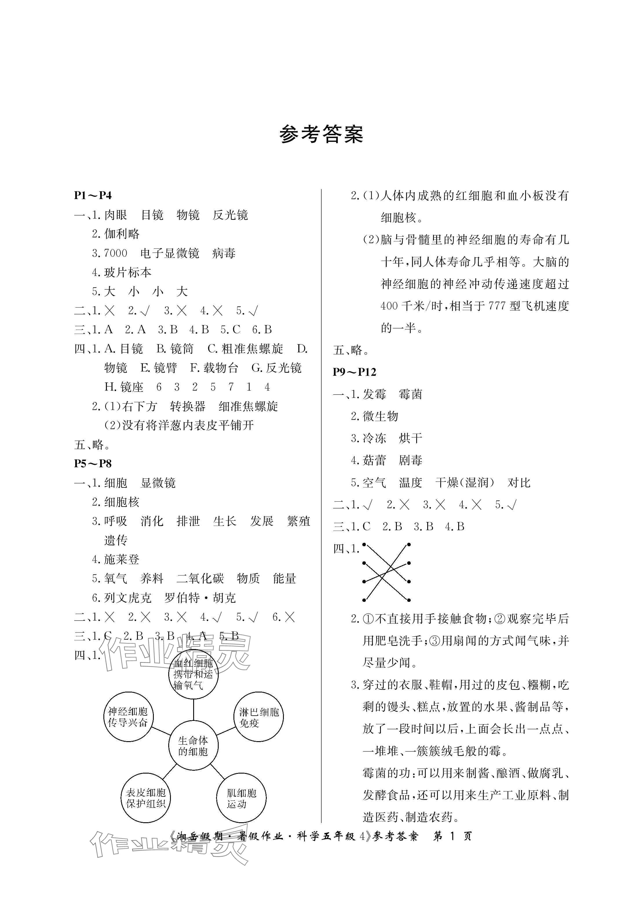 2024年湘岳假期暑假作业五年级科学湘科版第四版 参考答案第1页